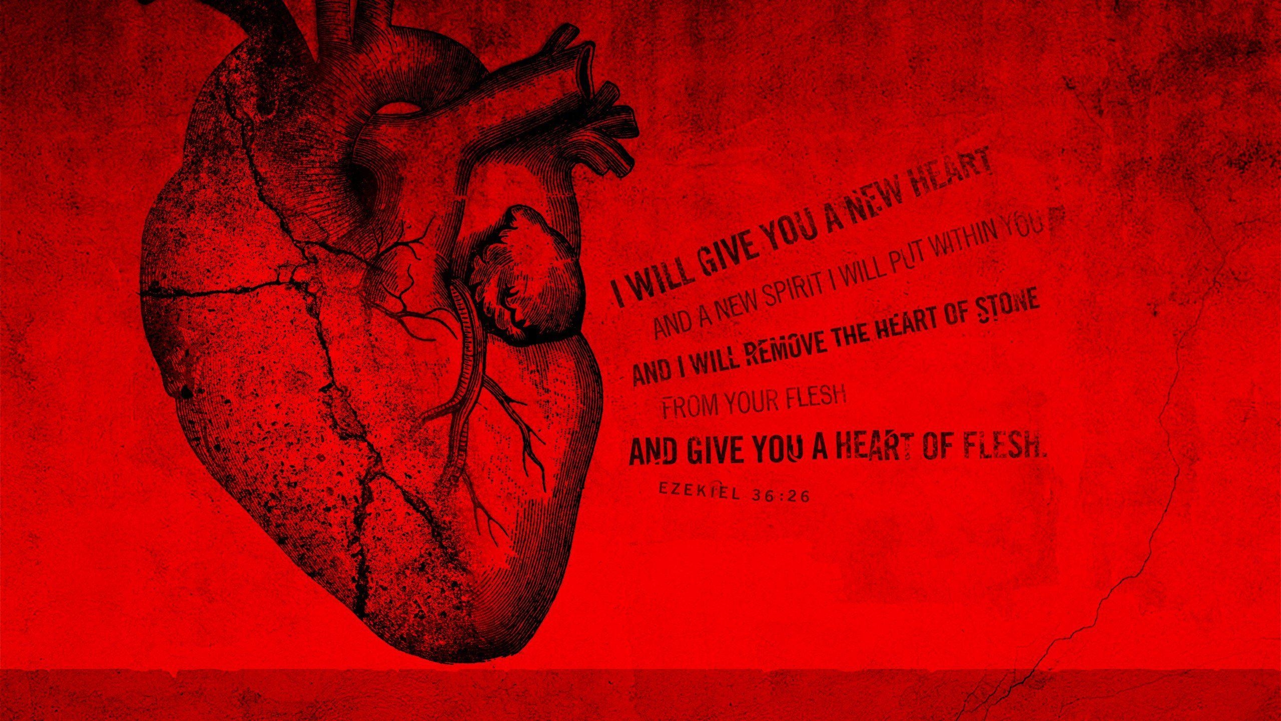 2560x1440 Human Heart, Desktop