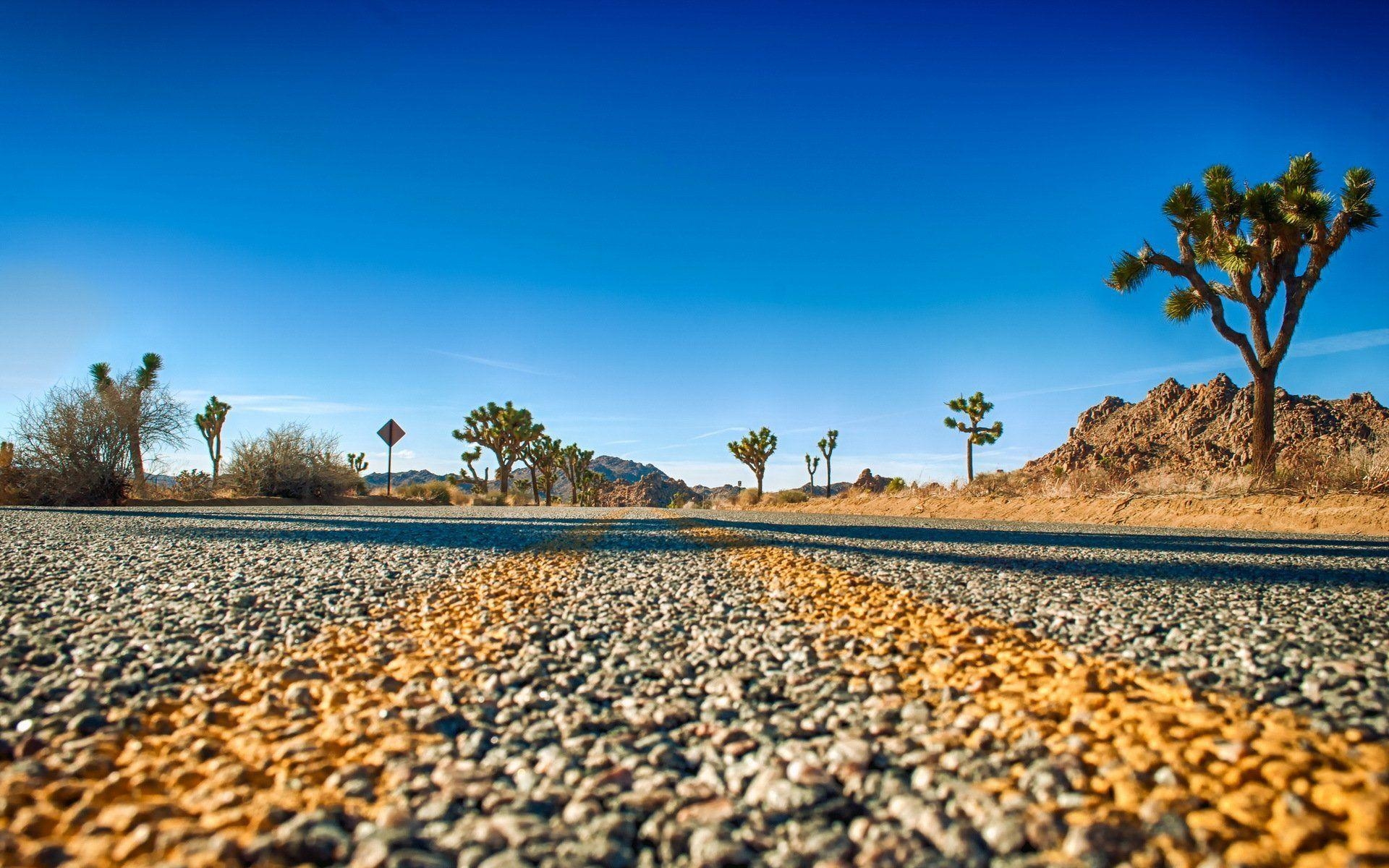 1920x1200 joshua tree national park road horizon HD wallpaper, Desktop