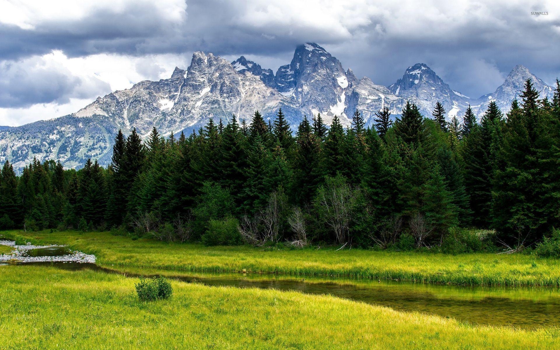 1920x1200 Mountain Meadow Wallpaper, Desktop