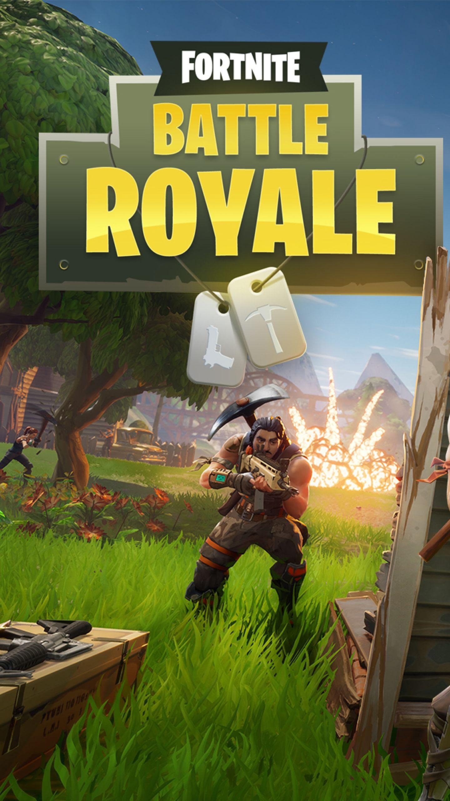 1440x2560 Download Fortnite Battle Royale 2048x1152 Resolution, Full HD Wallpaper, Phone