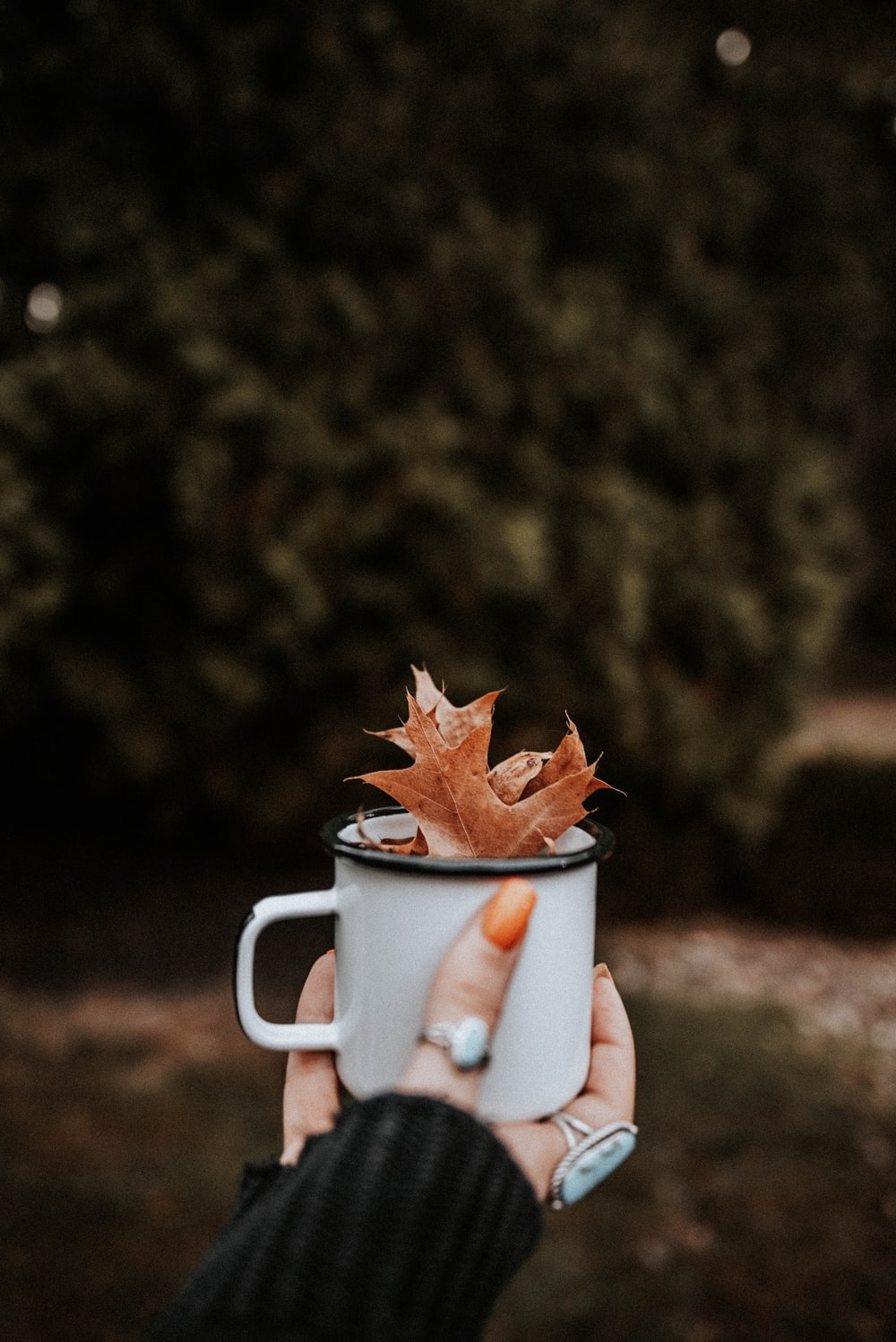 1000x1500 maple leaves in cup photo, Phone