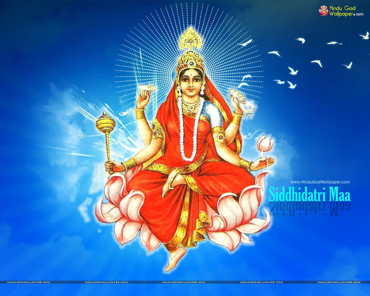 1280x1030 Siddhidatri Maa Wallpaper, Photo & Image Download. Maa wallpaper, Durga, Navratri wallpaper, Desktop