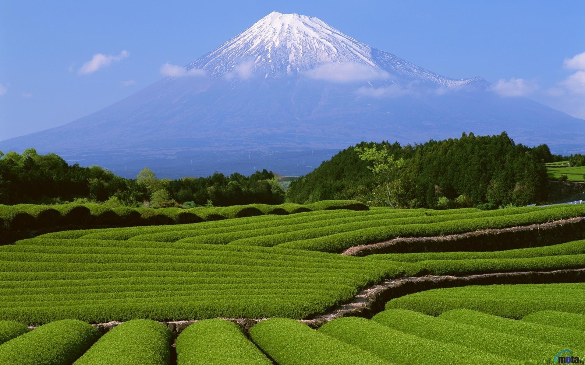 1920x1200 Mount fuji background wallpaper. PC, Desktop