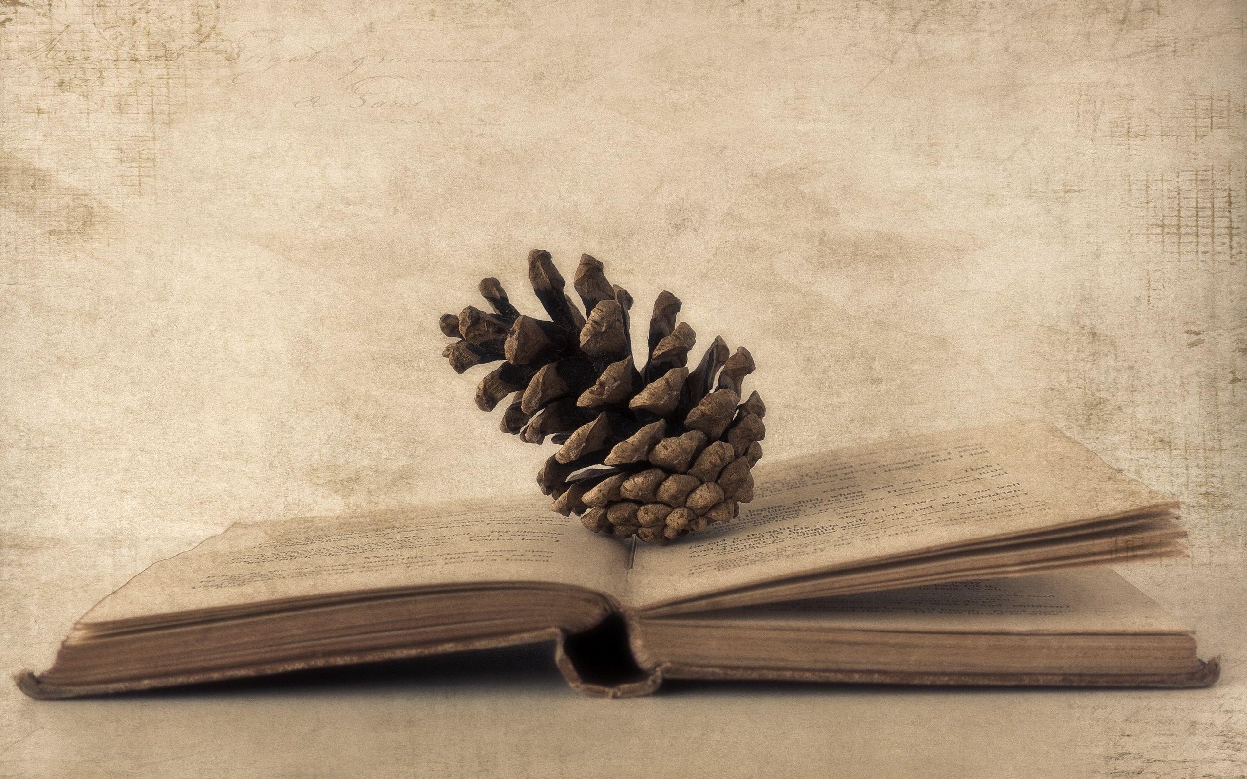 2560x1600 Wallpaper Book, Cones, Paper, Old photo HD, Picture, Image, Desktop