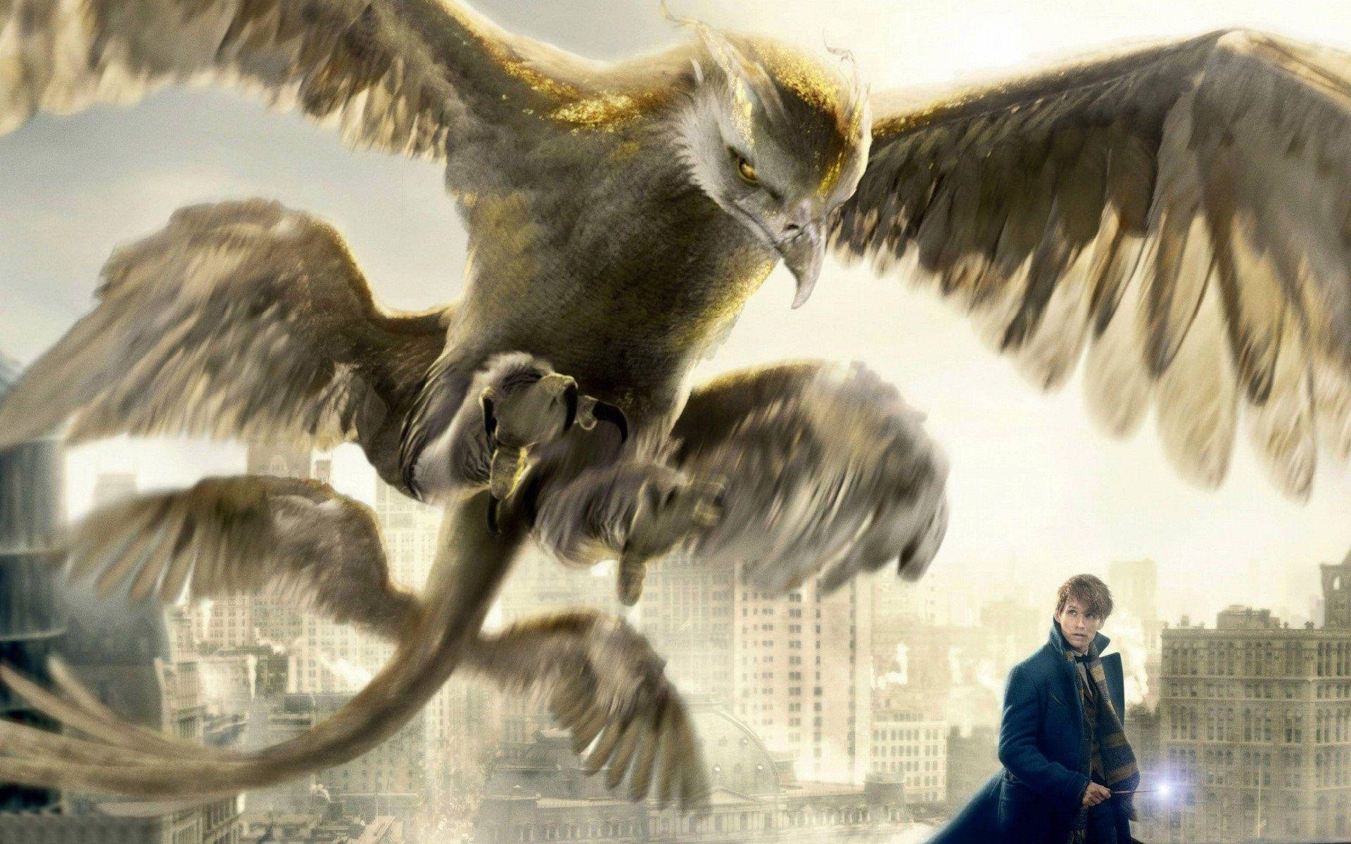 1920x1200 Fantastic Beasts And Where To Find Them Wallpaper HD Background, Desktop