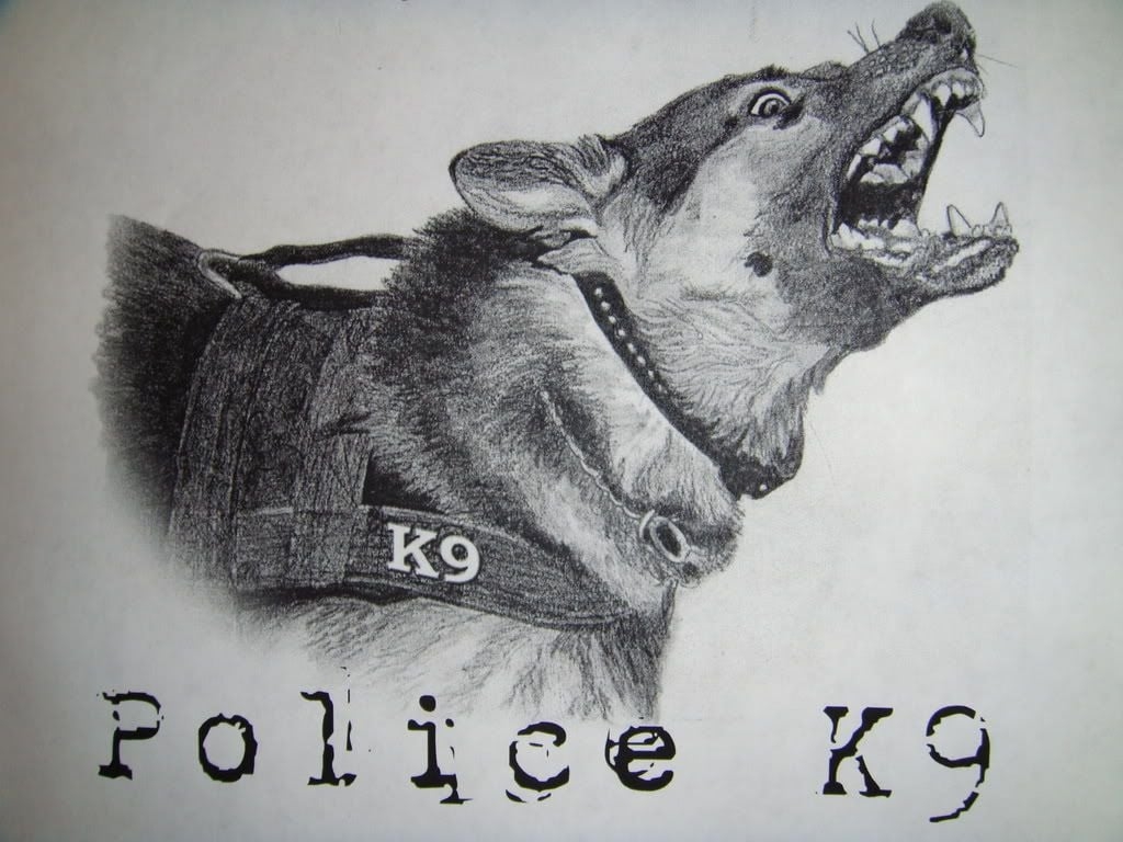 1030x770 Free download K9 POLICE Graphics Code K9 POLICE Comments Picture [] for your Desktop, Mobile & Tablet. Explore Police K9 Wallpaper. Police K9 Wallpaper, Funny Police Wallpaper, Police Badge Wallpaper, Desktop