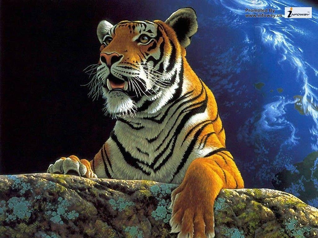 1030x770 hd wallpaper tiger abstract earth fantasy rock space wall, Desktop