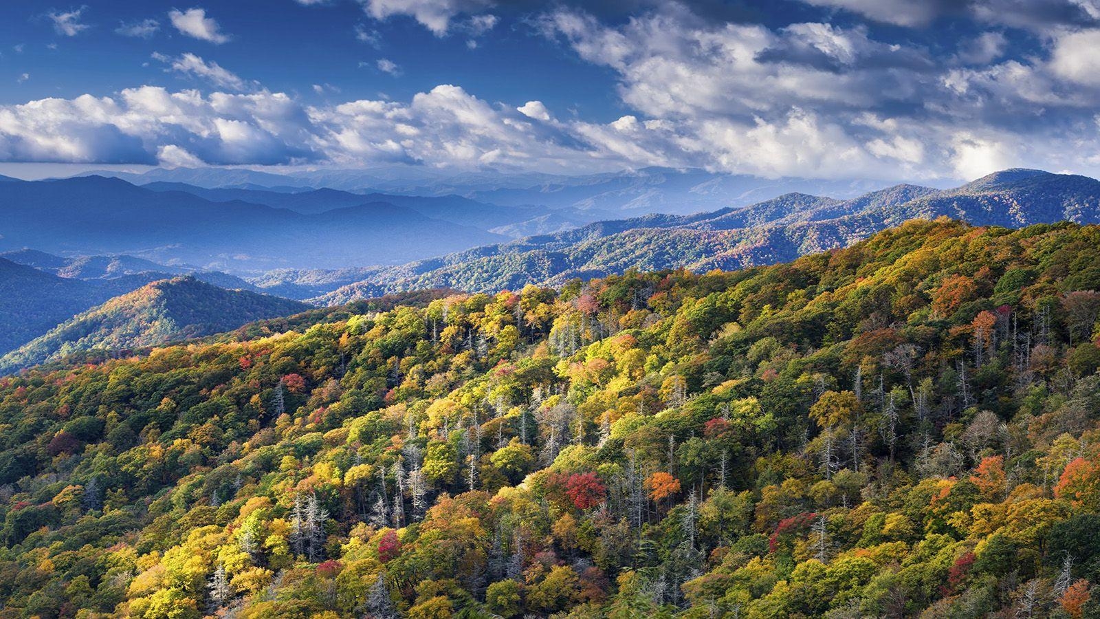 1600x900 Great Smoky Mountains National Park, Desktop