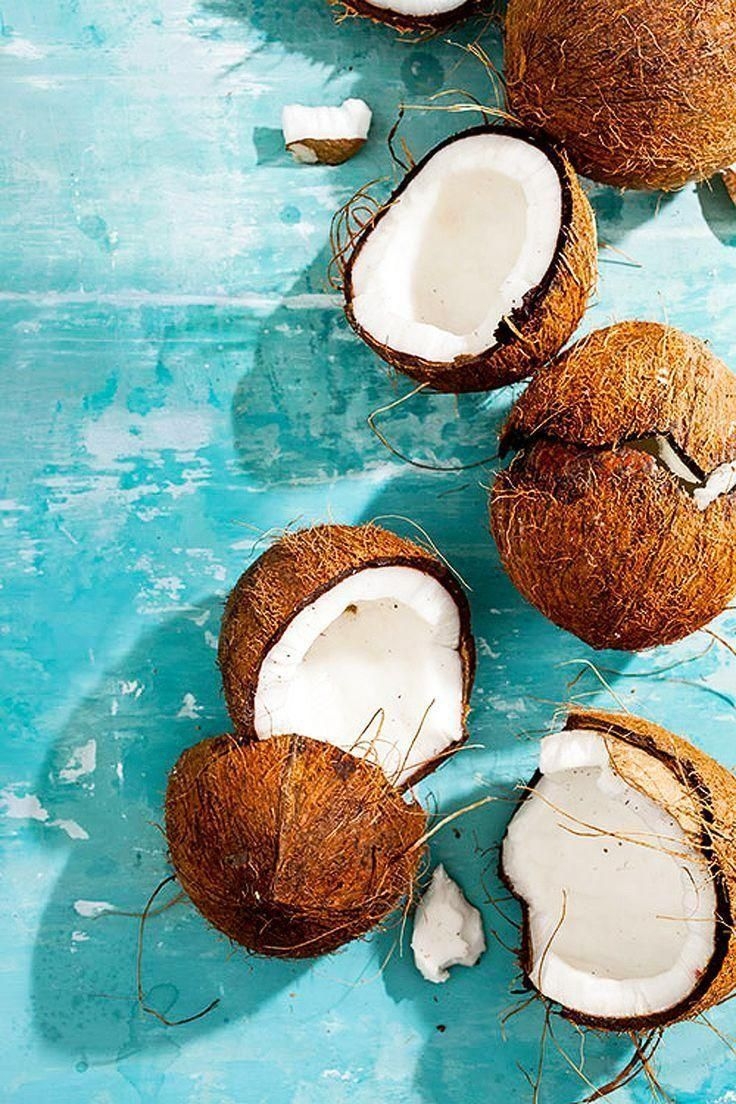 740x1110 Cute Coconut Wallpaper Free Cute Coconut Background, Phone