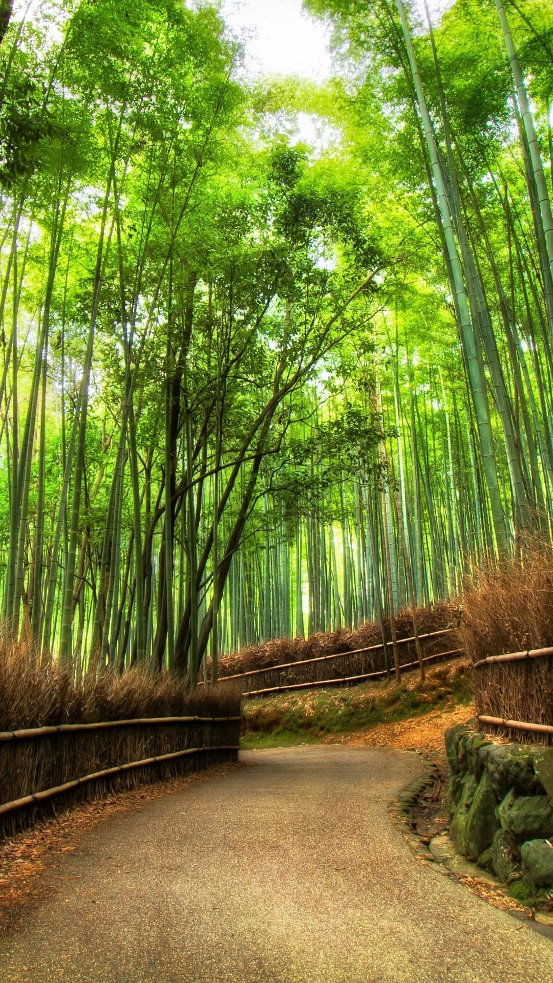 1080x1920 Arashiyama Bamboo Grove, Japan 4K UltraHD Wallpaper, Phone