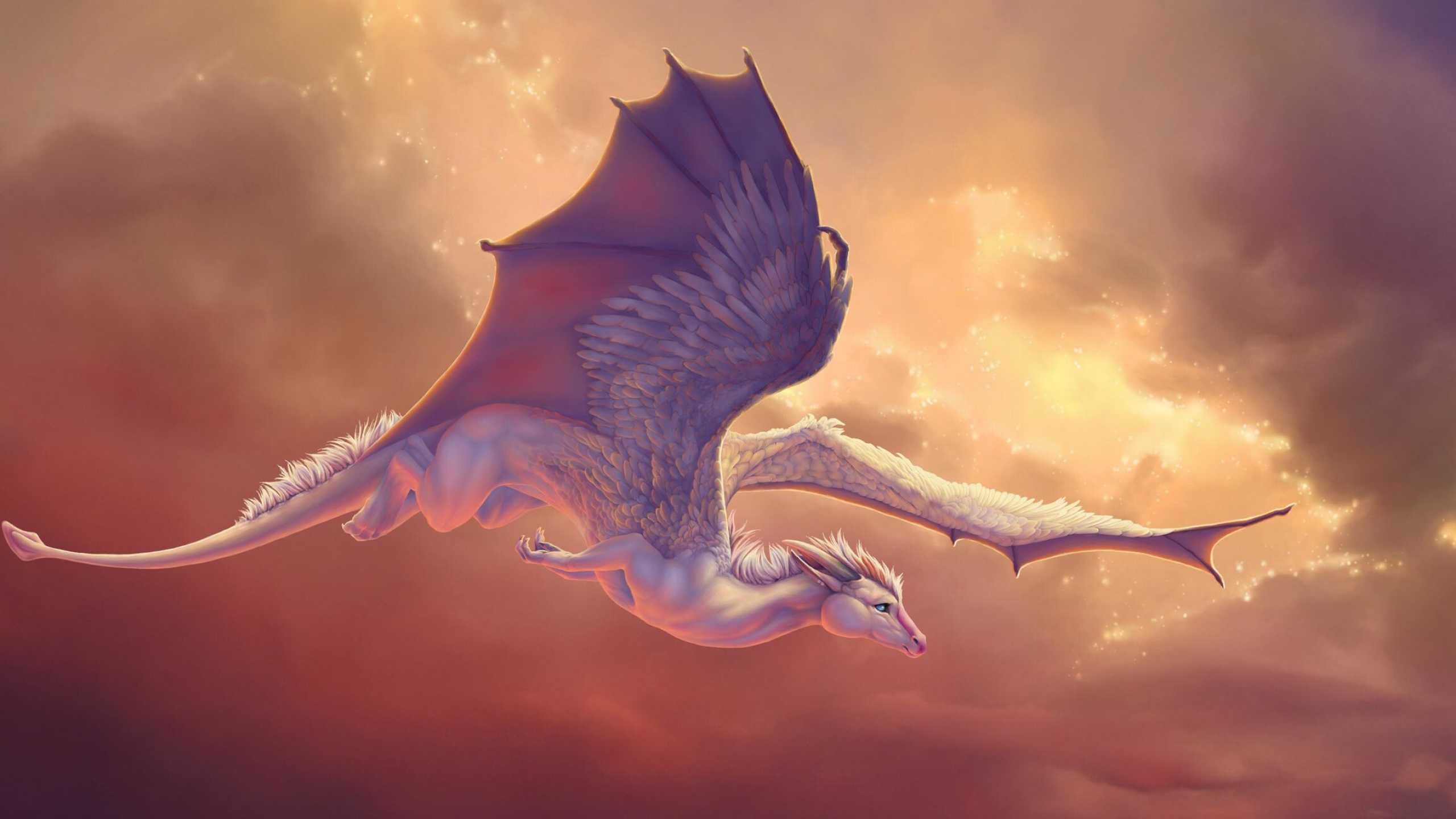 2560x1440 Dragon Wallpaper, Desktop