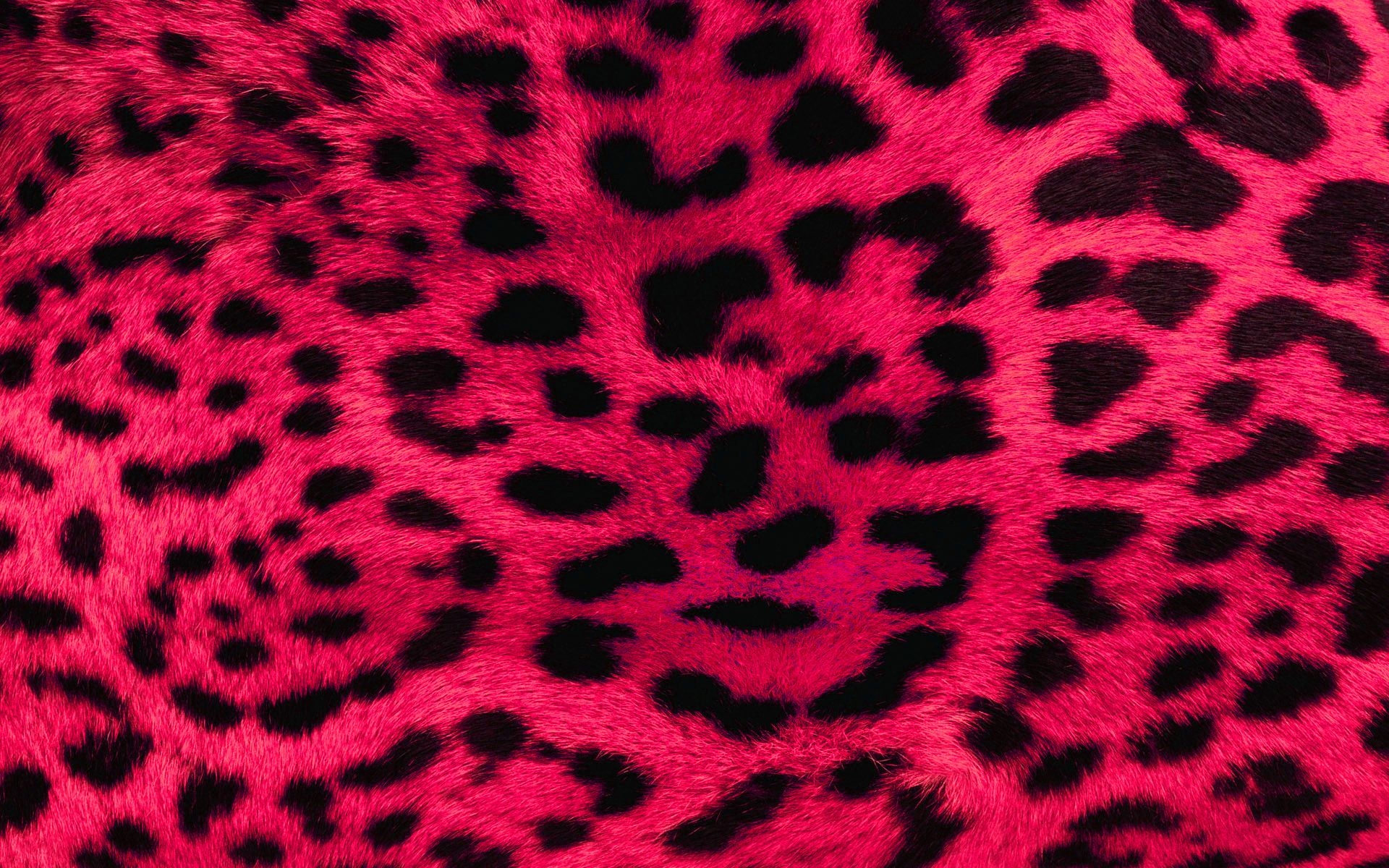 1920x1200 pink leopard print wallpaper Desktop Wallpaperk HD, Desktop