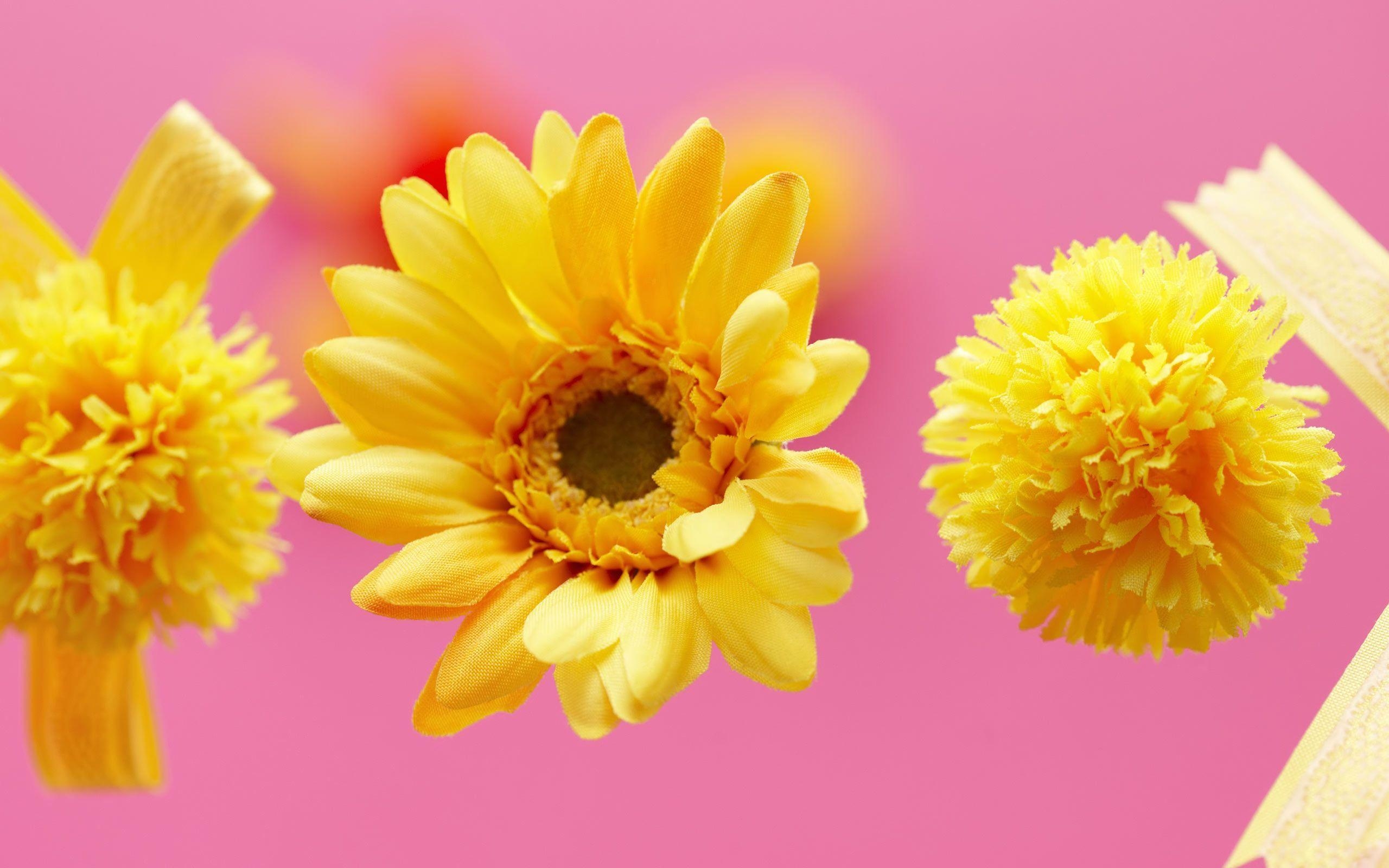 2560x1600 Desktop Wallpaper · Gallery · Windows 7 · Yellow flower wallpaper, Desktop