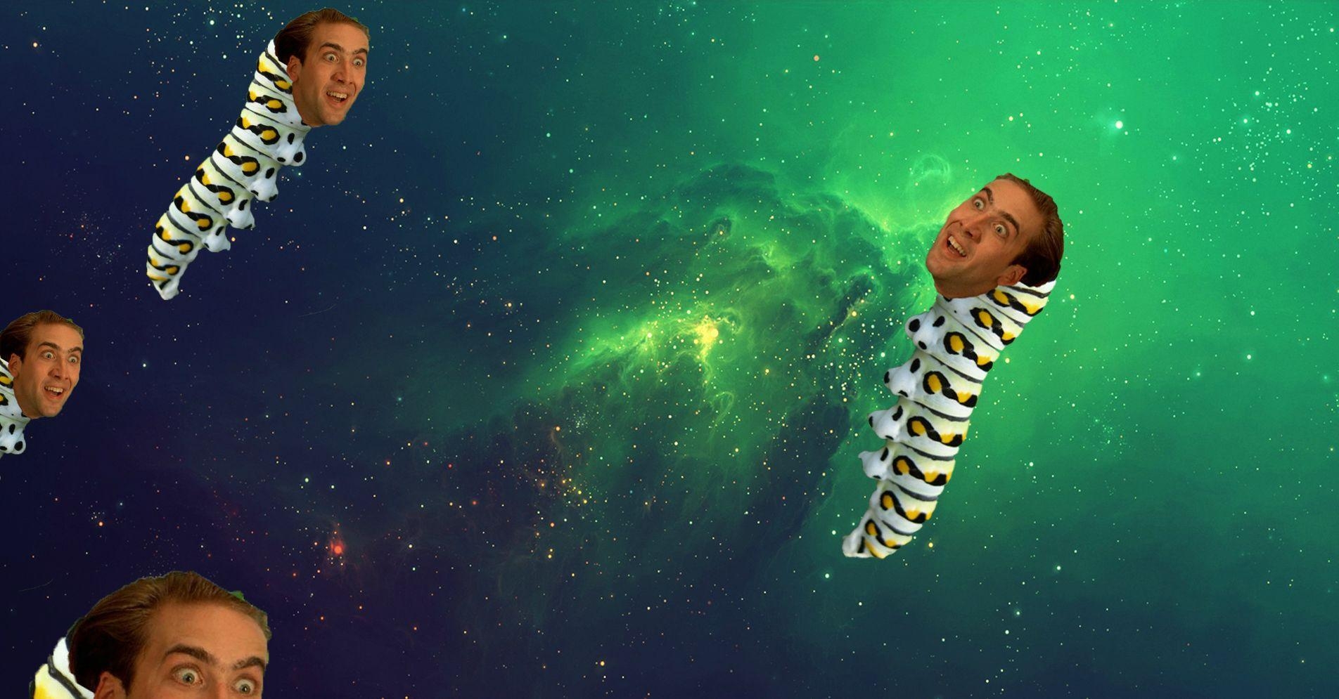 1910x1000 I like space, caterpillars, and Nicolas Cage, Desktop