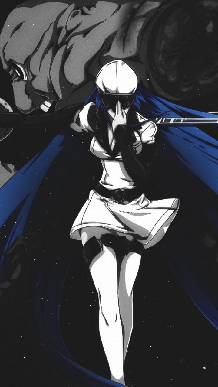 720x1280 Esdeath IPhone 5, Phone