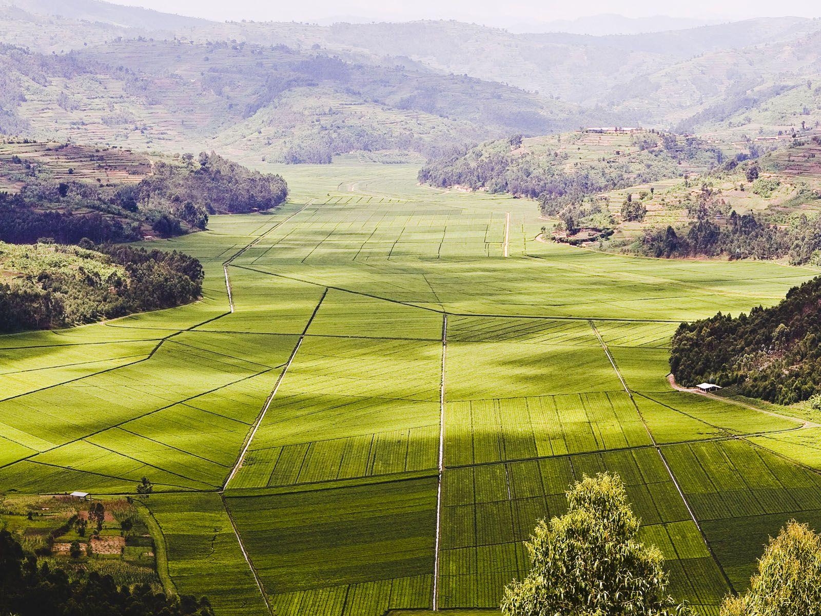 1600x1200 Changing Holiday, Rwanda, Africa, Aerial view, Desktop