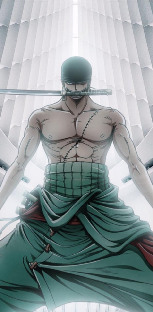 630x1280 Zoro wallpaper, Phone