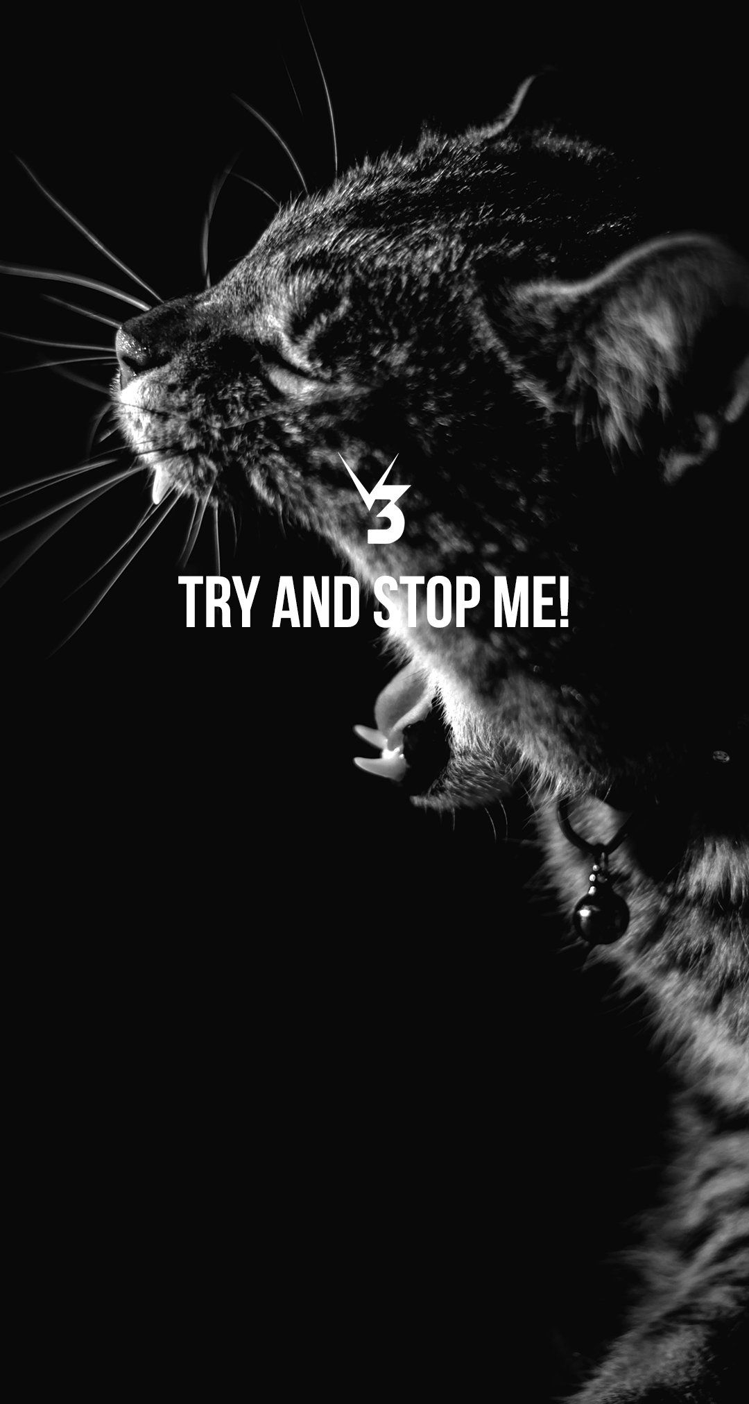 1080x2030 Free Motivational Fitness & Life Phone Wallpaper, Phone