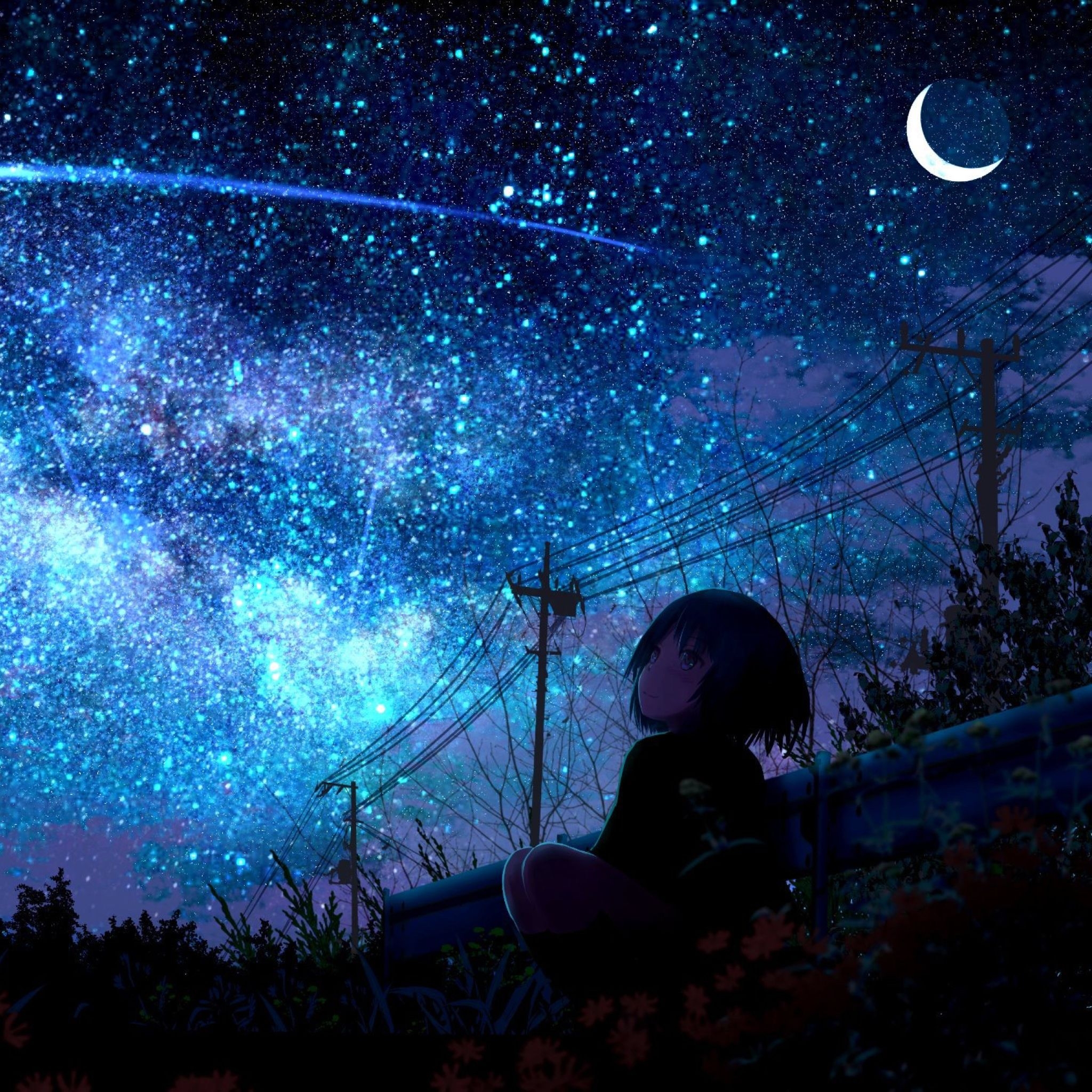 2050x2050 Lonely Girl Starring Shooting Star iPad Air Wallpaper, HD Anime 4K Wallpaper, Image, Photo and Background, Phone