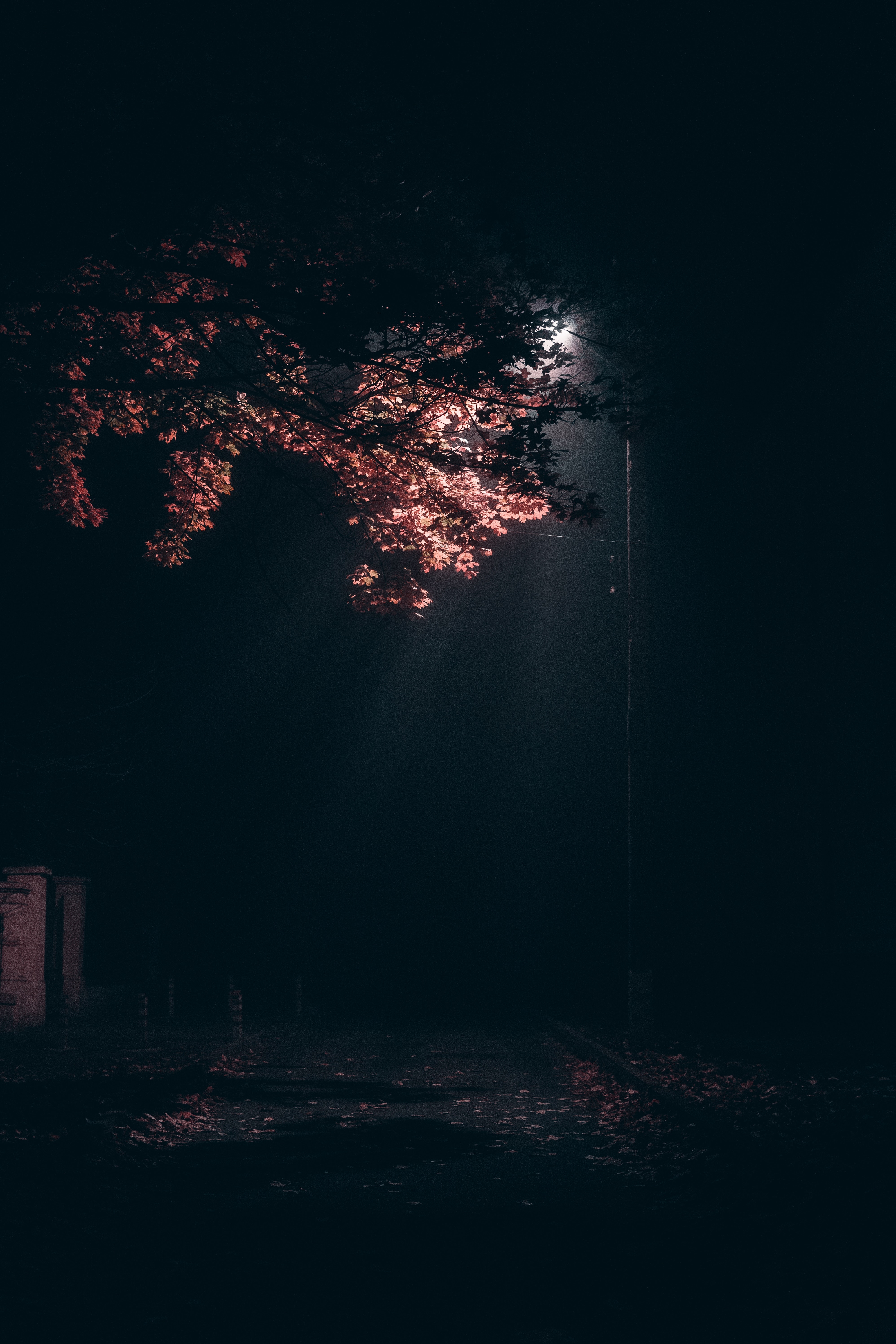 4000x5990 Street Light Photo, Download The BEST Free Street Light & HD Image, Phone