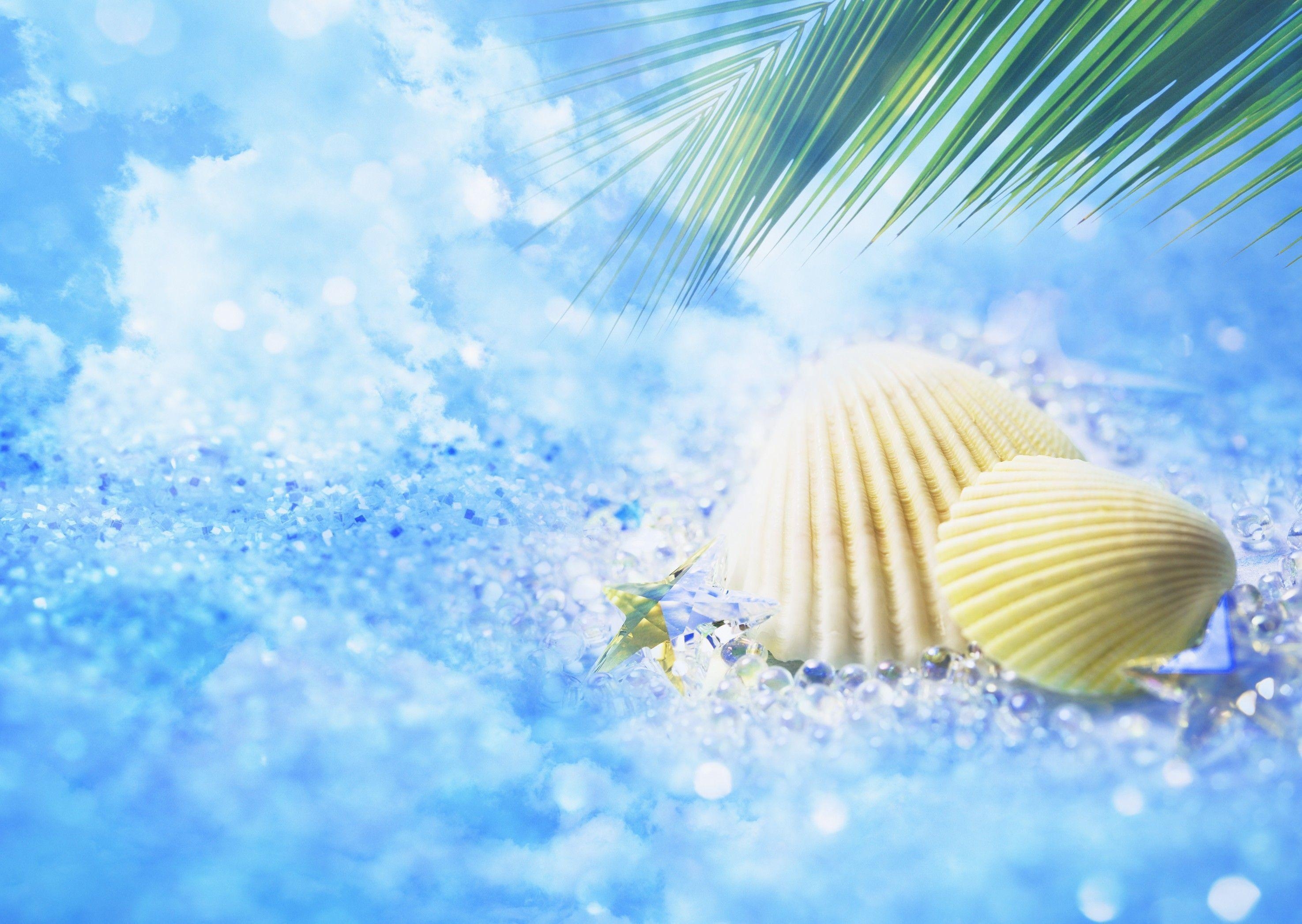 2950x2100 Pretty Seashells Wallpaper, Desktop