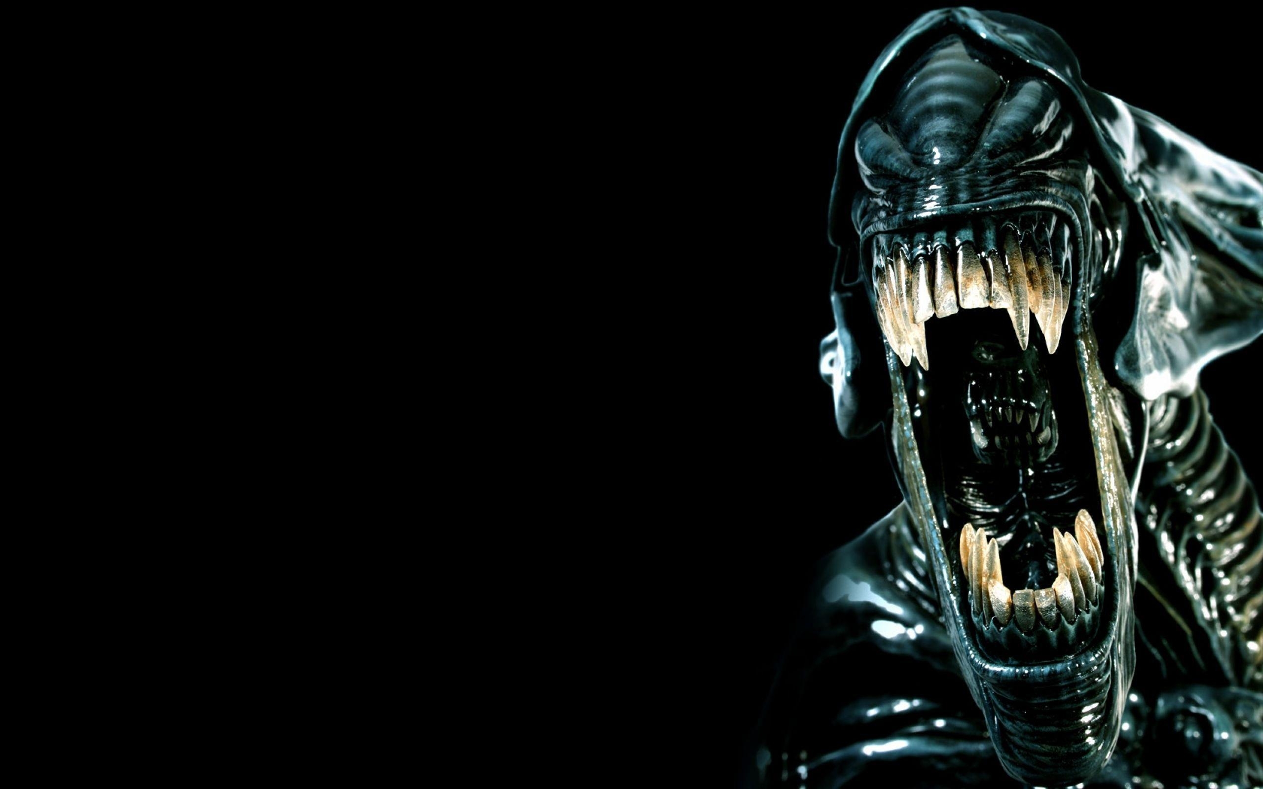 2560x1600 Xenomorph HD Wallpaperx1080, Desktop