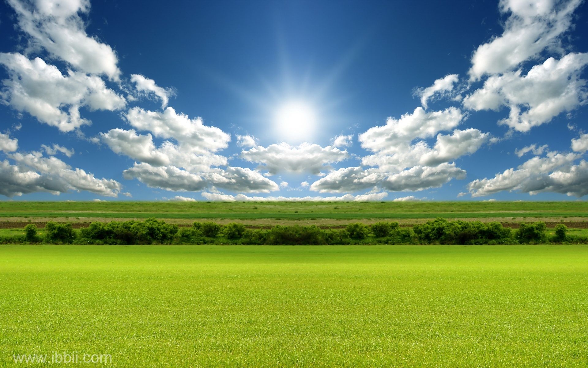 1920x1200 A Whiter Sky for a Greener World. Sunrise photo, Field wallpaper, Beautiful nature, Desktop