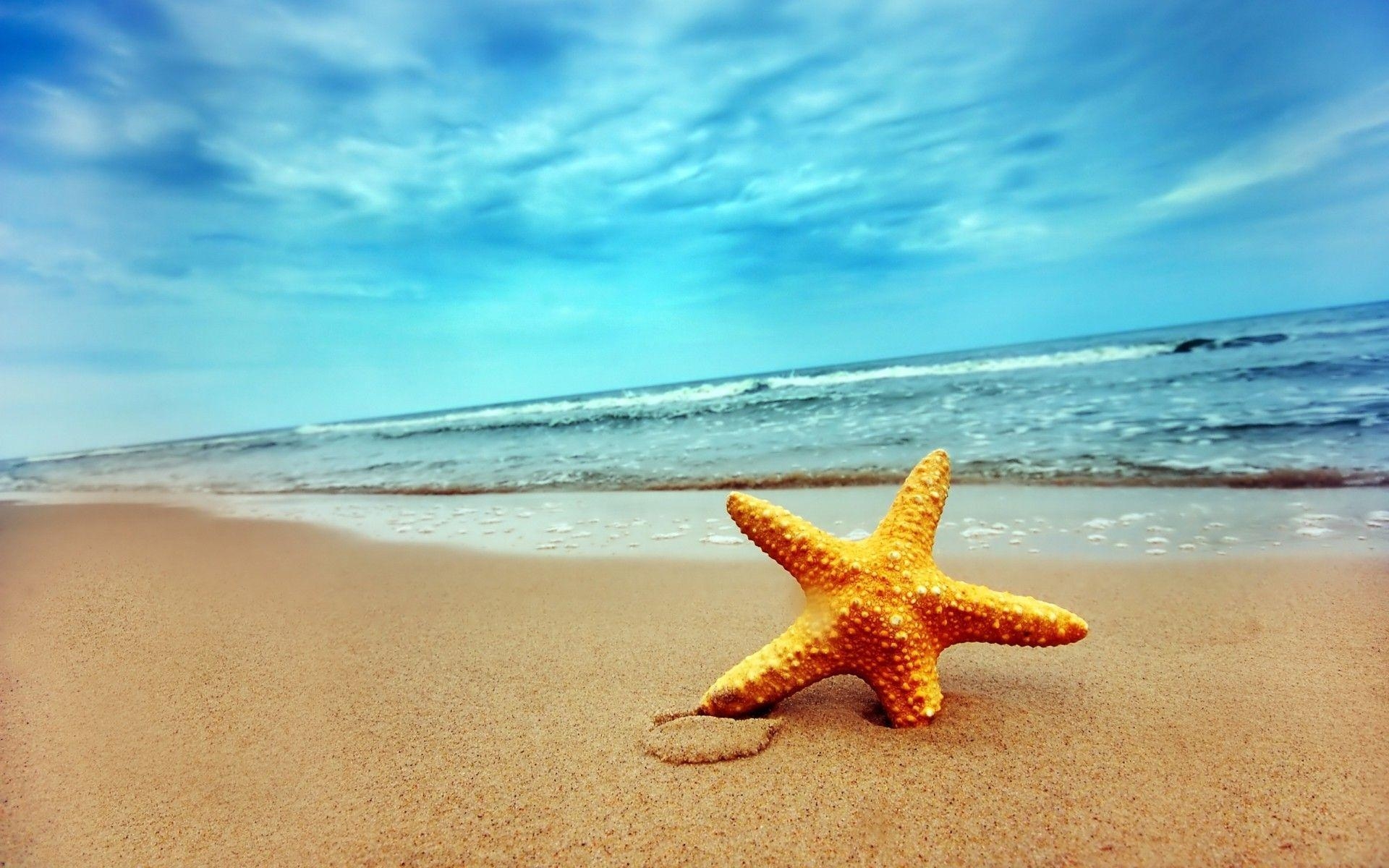 1920x1200 Starfish Picture. Sky HD Wallpaper, Desktop