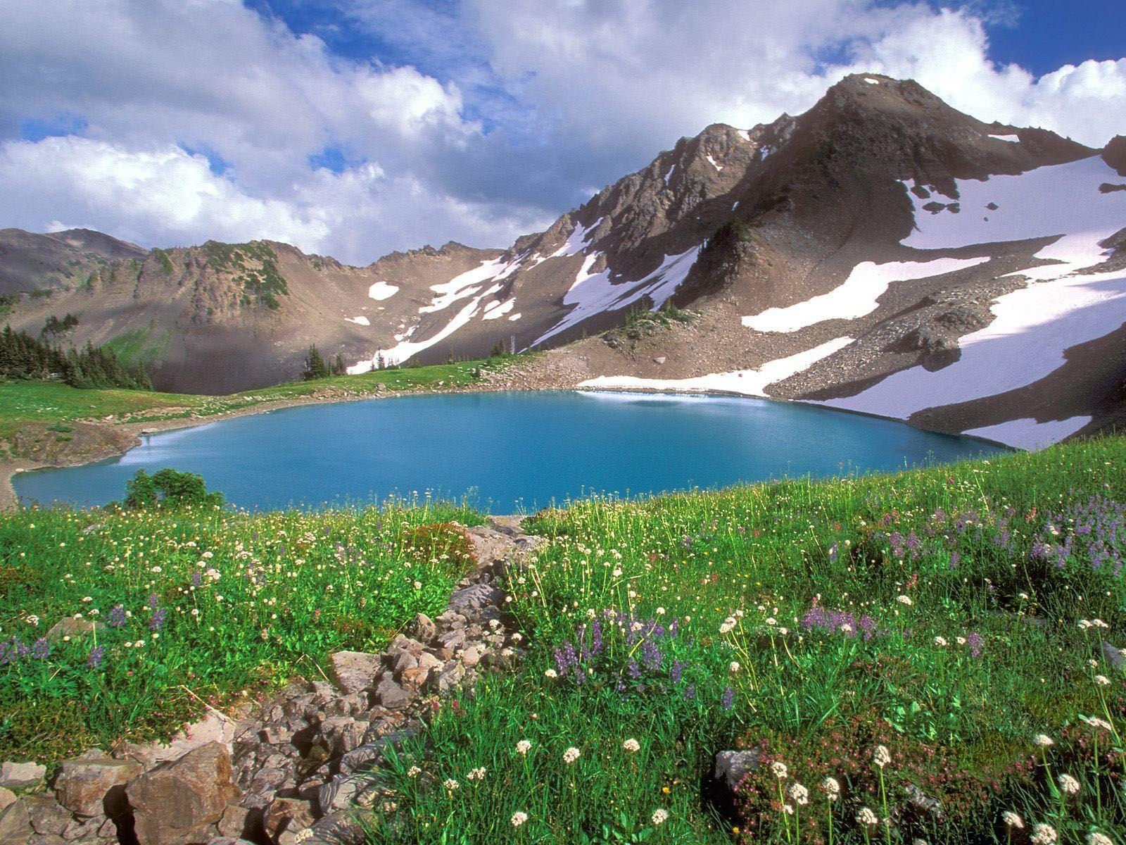 1600x1200 wallpaper: Olympic National Park Wallpaper, Desktop