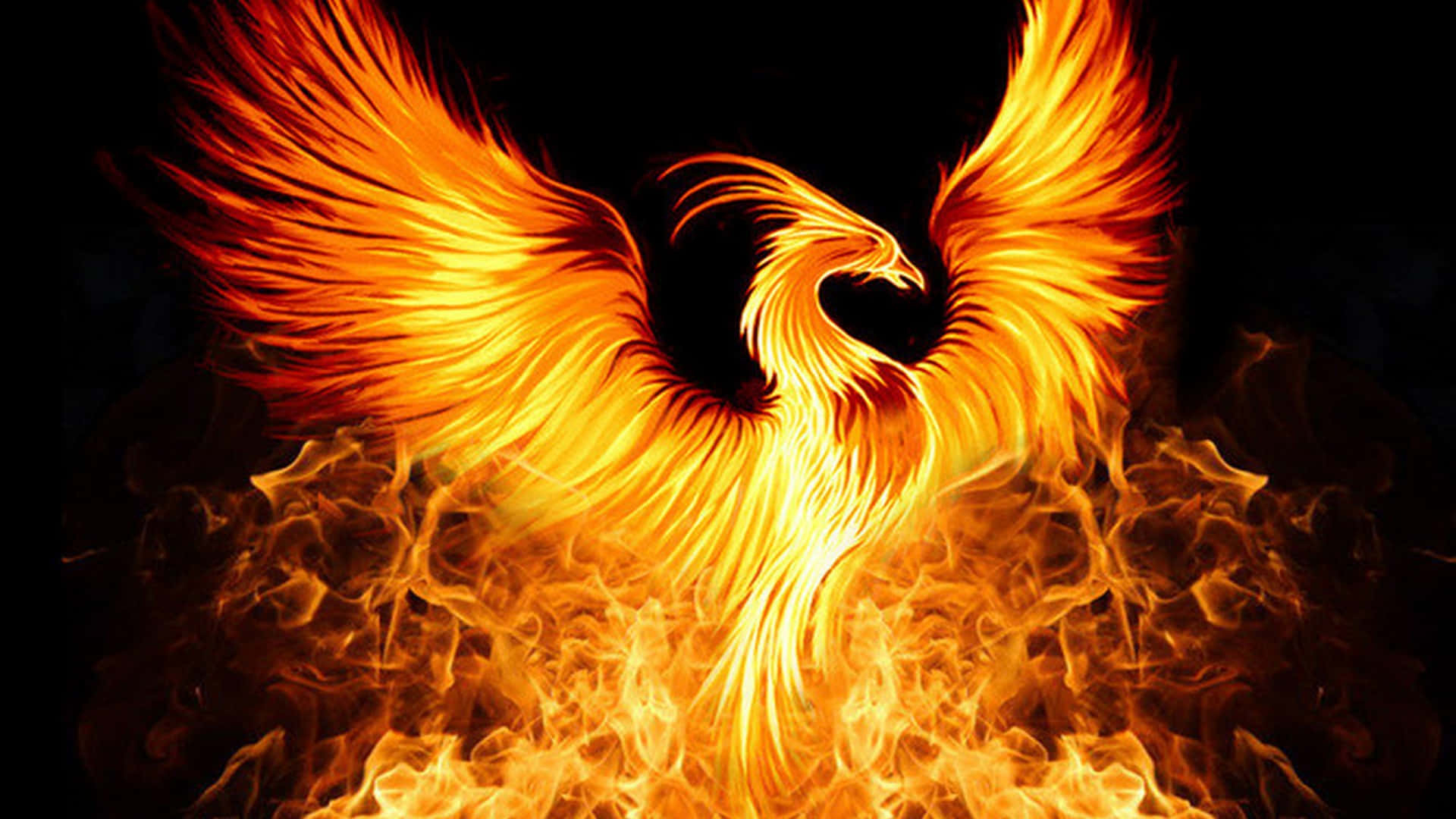 1920x1080 Phoenix Picture, Desktop