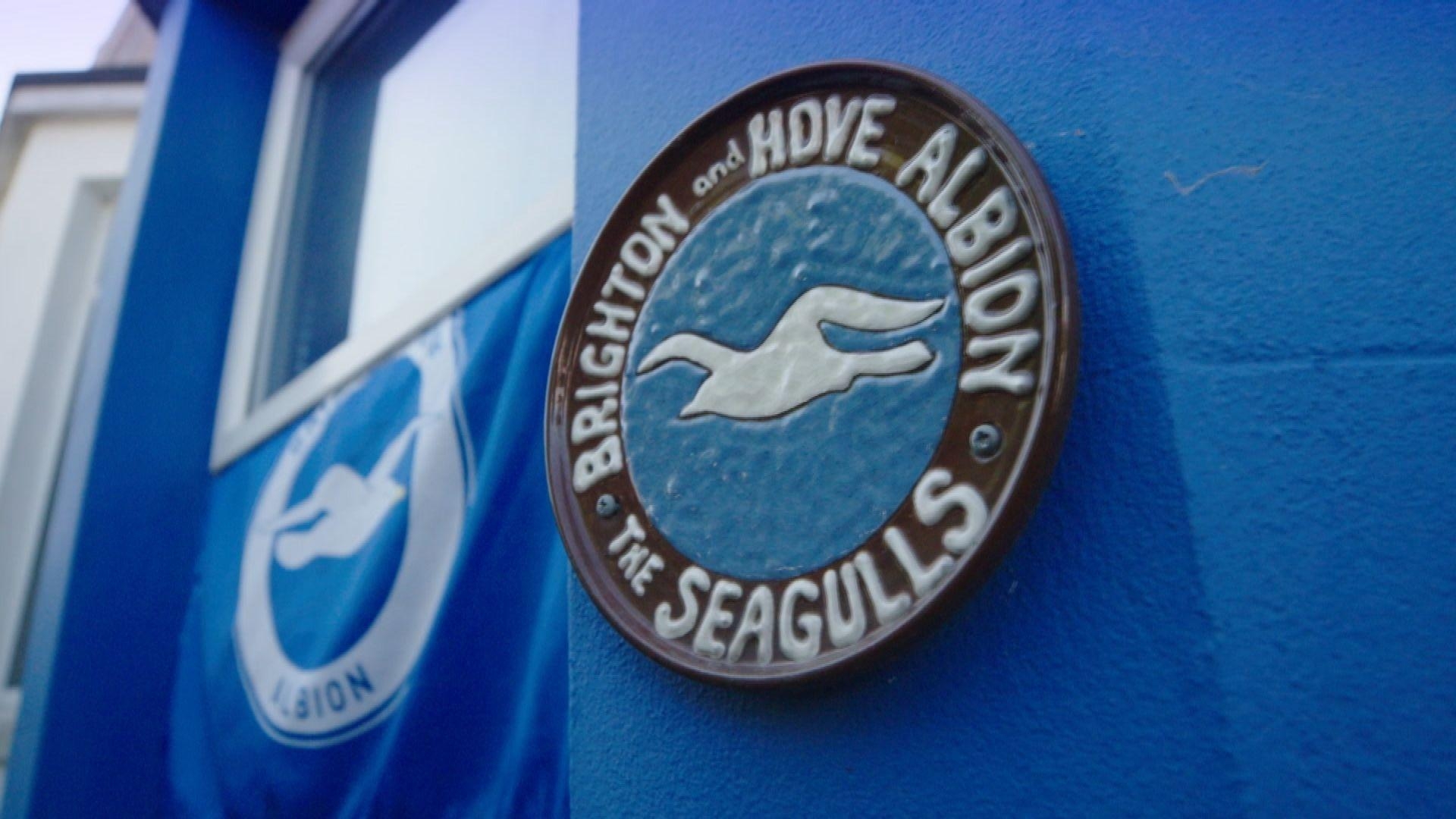 1920x1080 Brighton & Hove Albion's ascent to the Premier League, Desktop