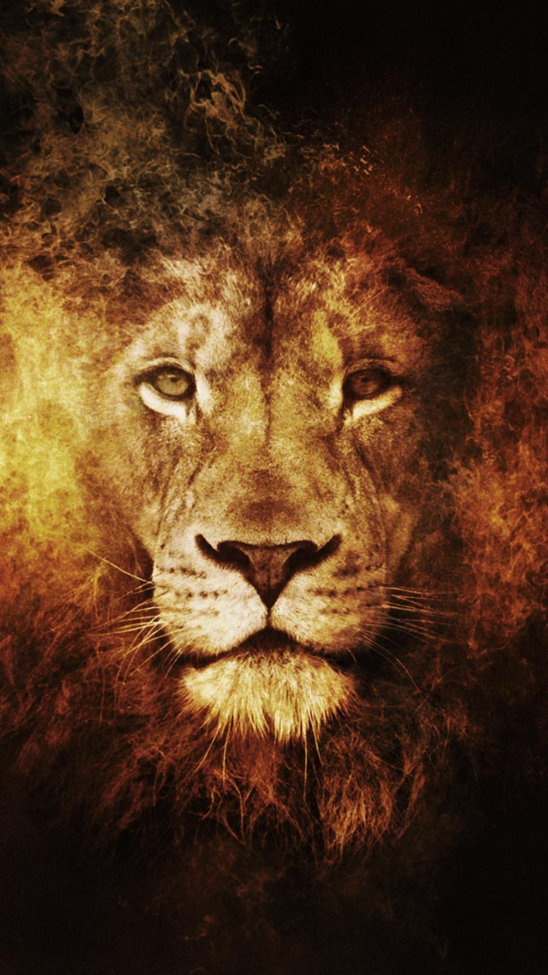 1080x1920 Lion iPhone Wallpaper, Phone