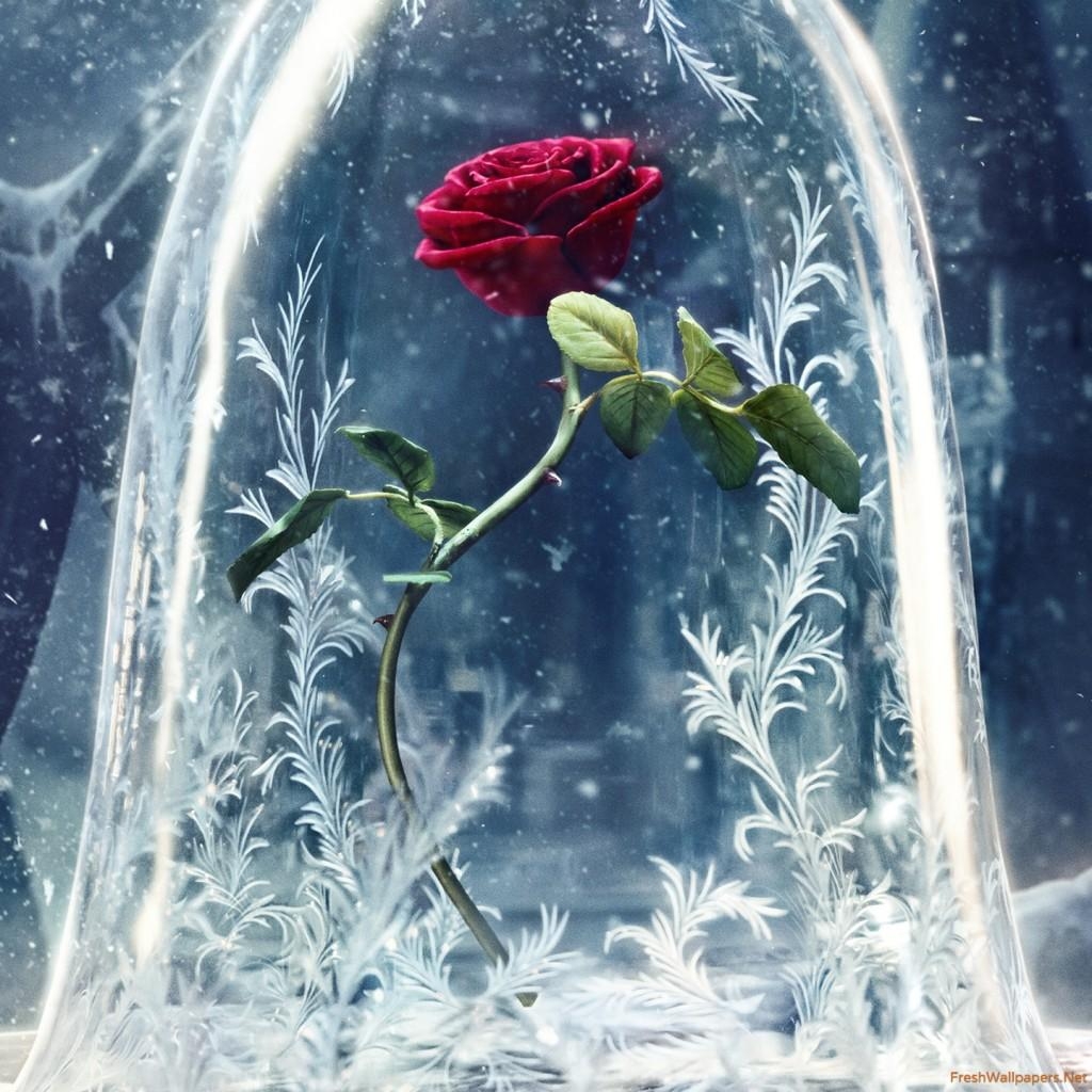 1030x1030 Wallpaper Blink of Beauty And The Beast (2017) Wallpaper HD, Phone