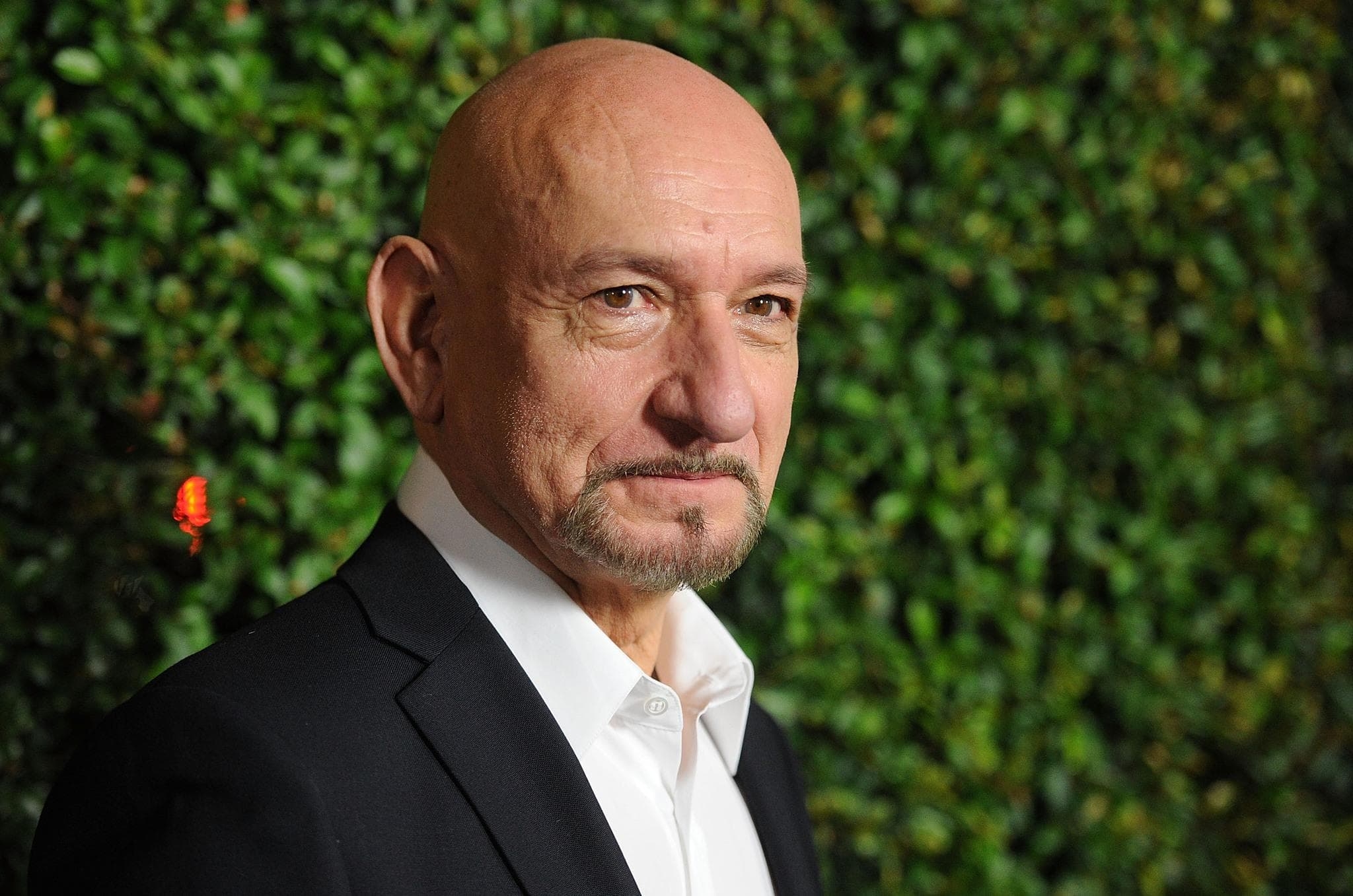 2050x1360 Ben Kingsley Celebrity HD Wallpaper 58920 px, Desktop