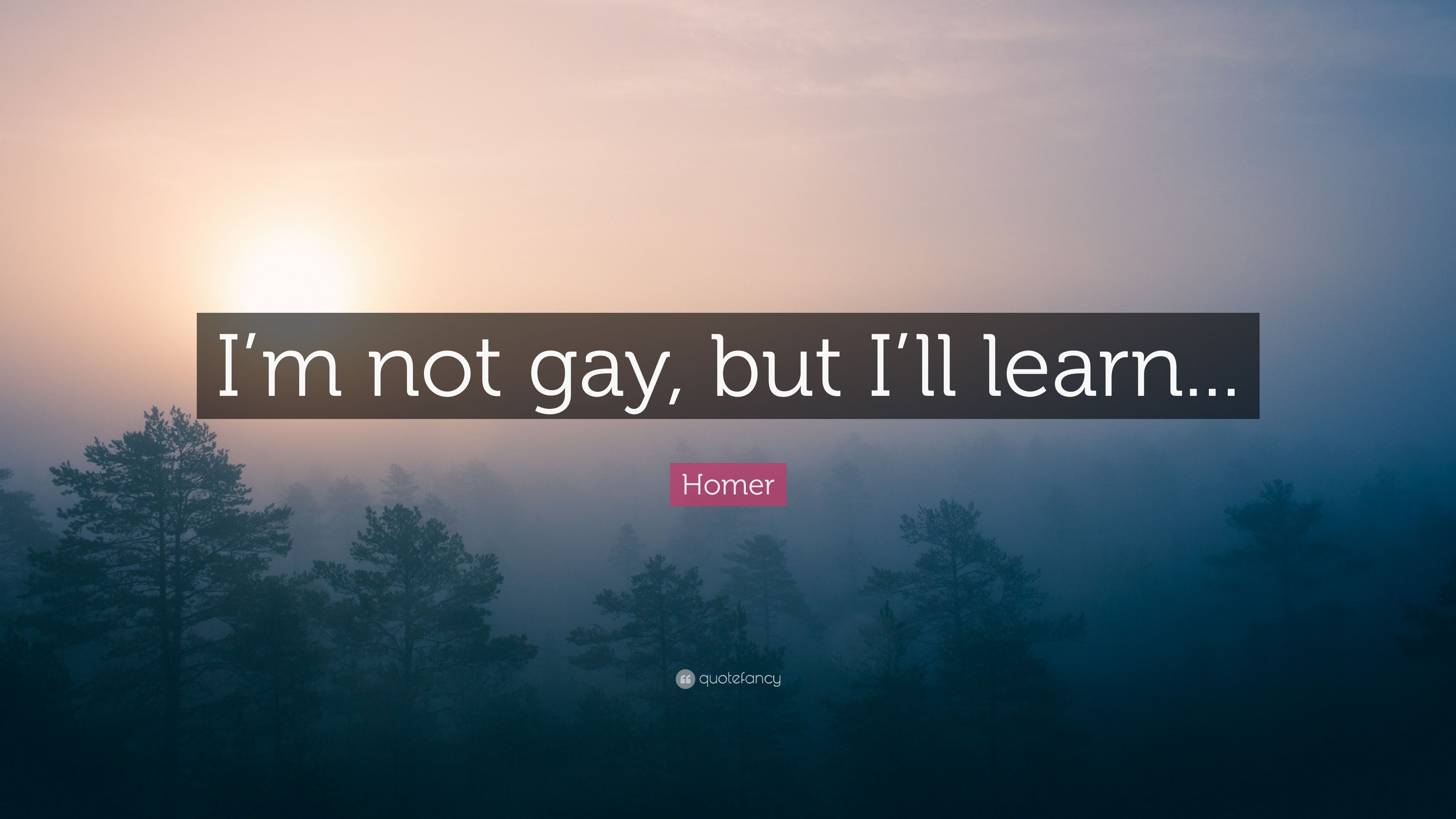 3840x2160 Homer Quote: “I'm not gay, but I'll learn.” 10 wallpaper, Desktop