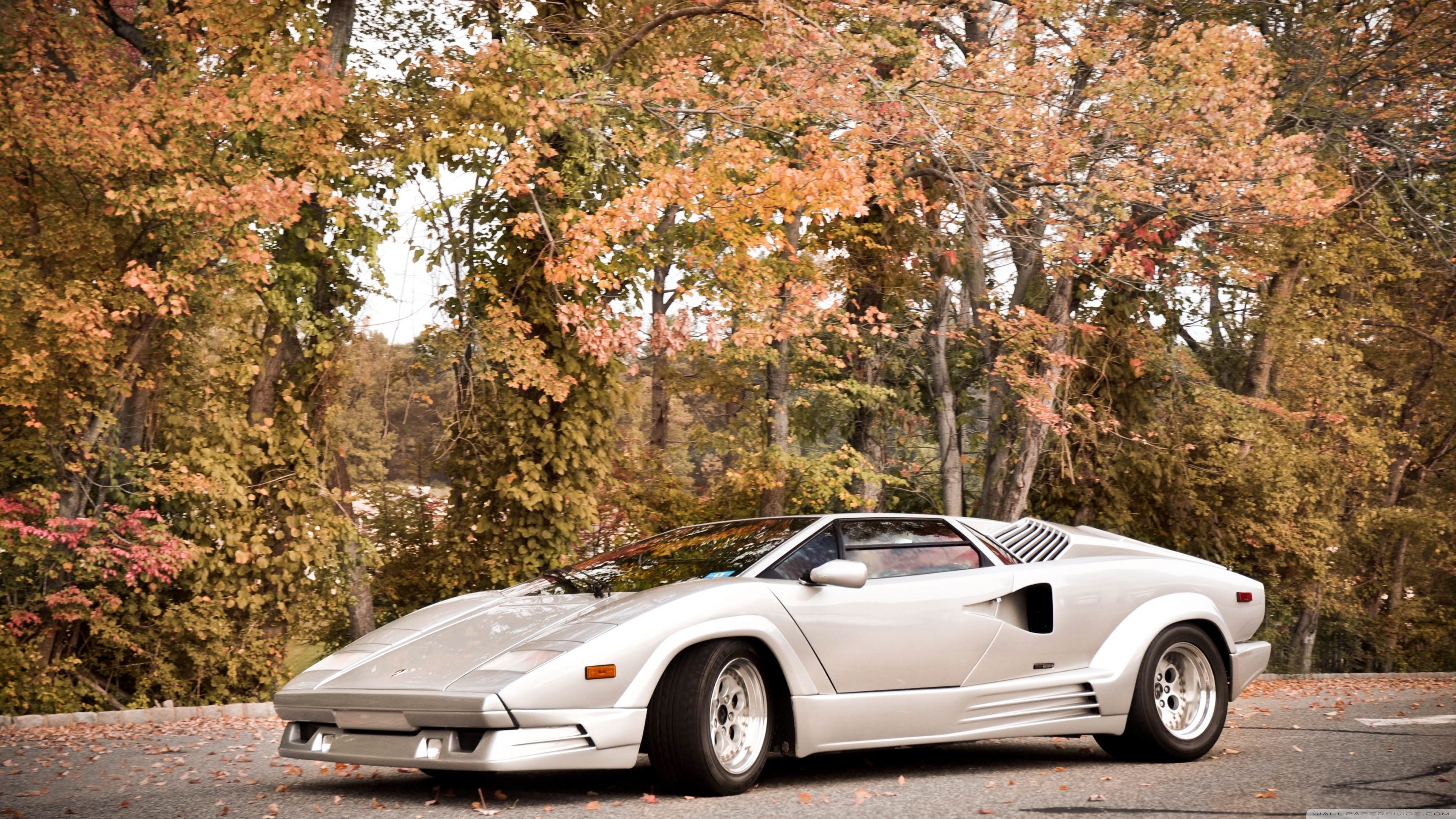 3840x2160 Lamborghini Countach HD desktop wallpaper, Fullscreen, Mobile, Desktop