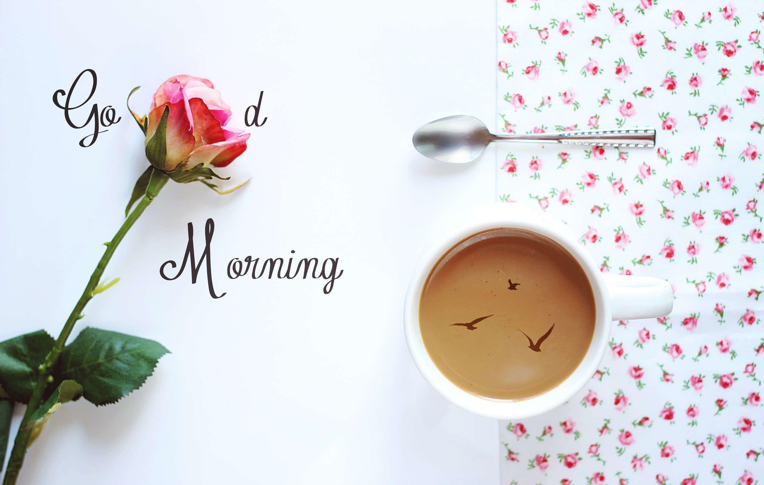 2560x1630 Good Morning Image HD 1080p, Desktop