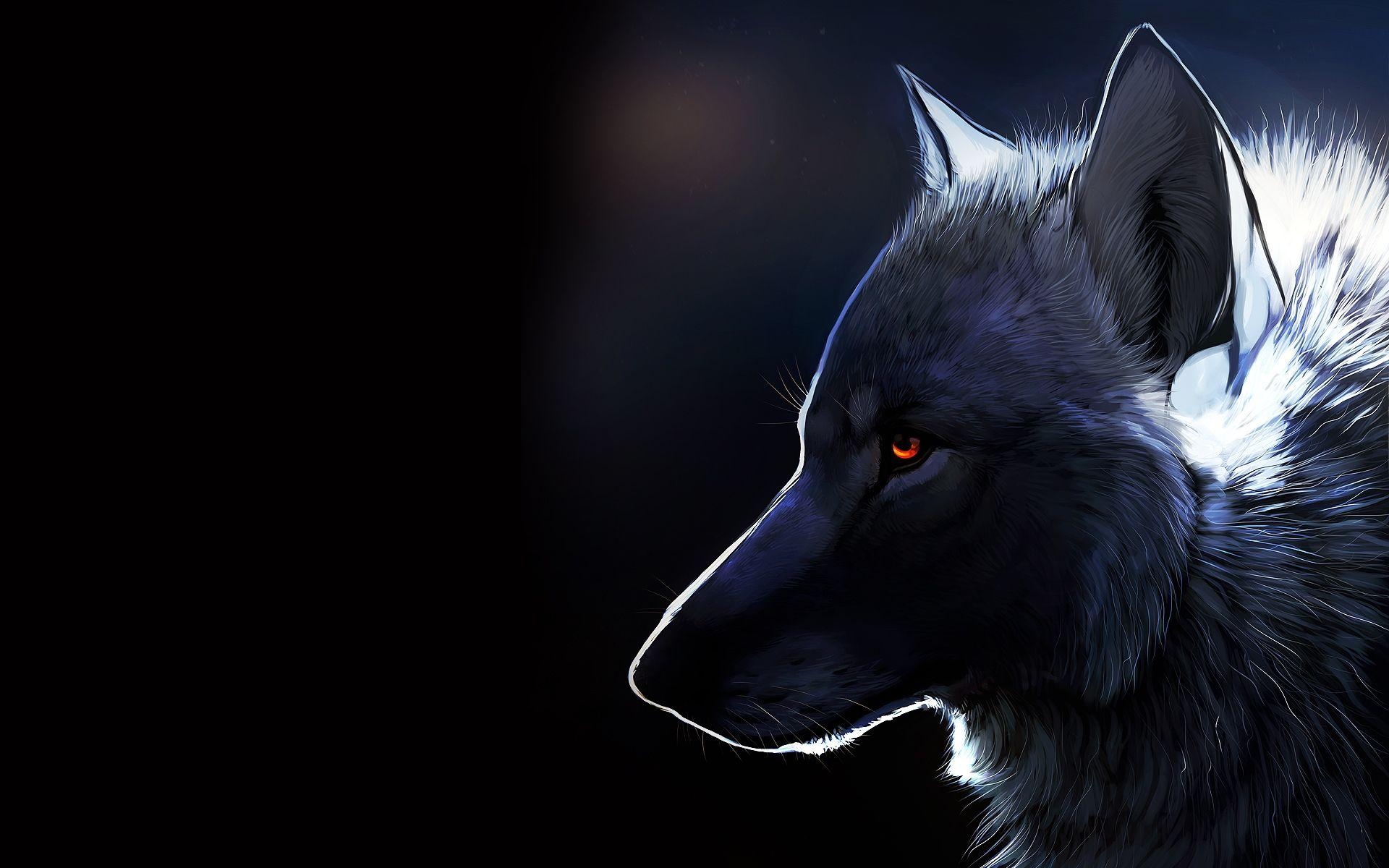 1920x1200 Animals & Birds Mysterious Wolf wallpaper Desktop, Phone, Tablet, Desktop