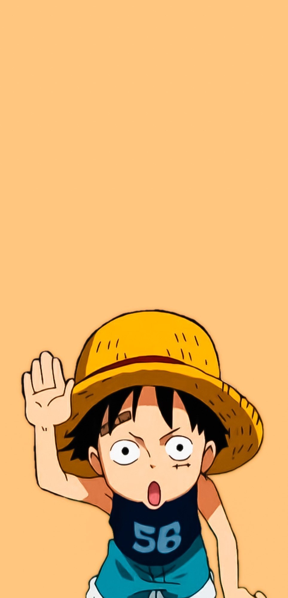 970x2000 Mini luffy Wallpaper Download, Phone