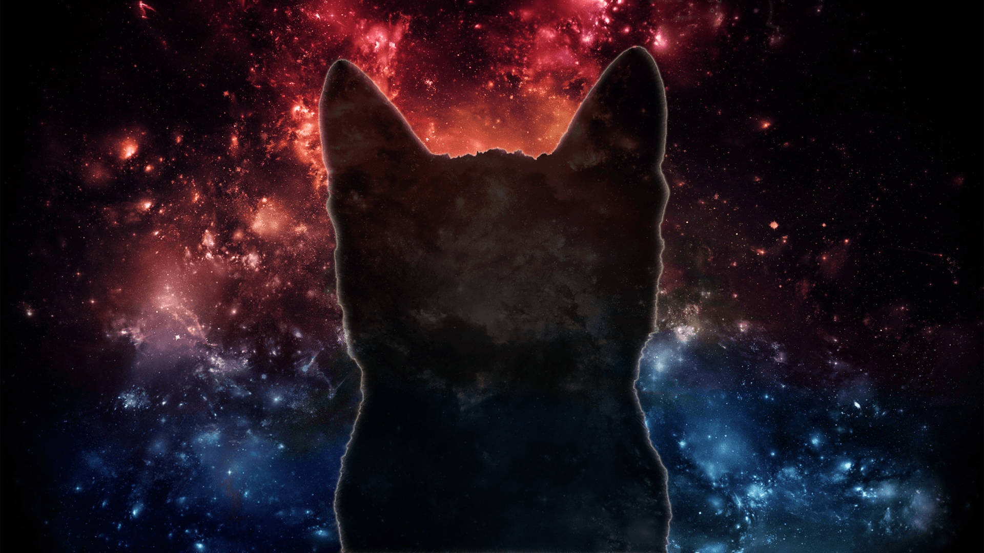 1920x1080 Free Space Cat Wallpaper Photo, Desktop