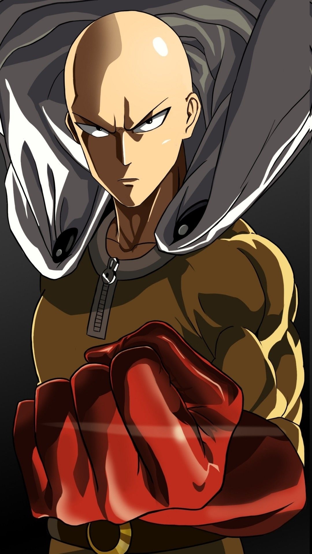 1080x1920 Saitama, One Punch Man, Anime, Gloves Wallpaper HD Punch Man HD Wallpaper, Phone