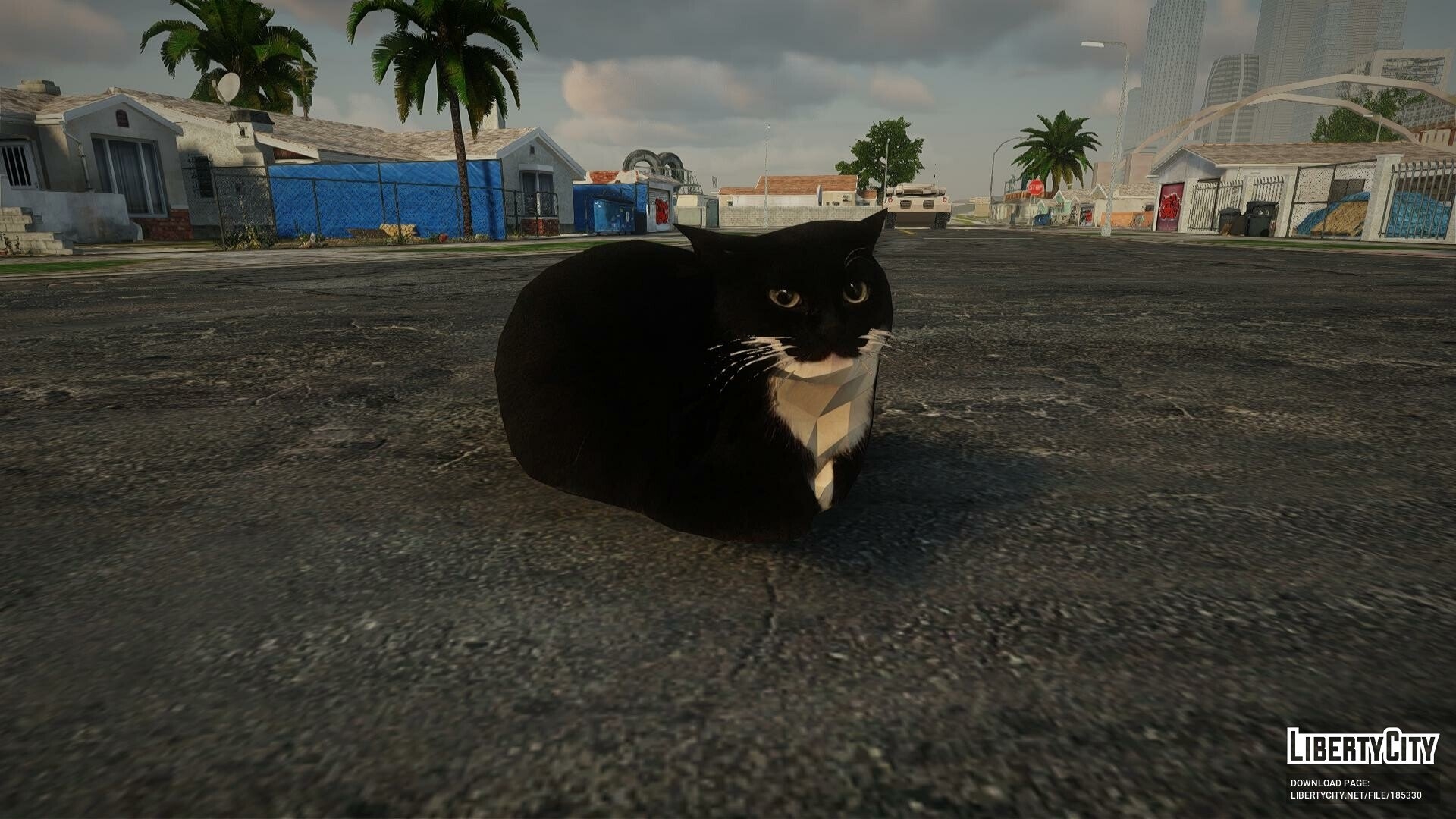 1920x1080 Download Cat Dingus for GTA San Andreas, Desktop