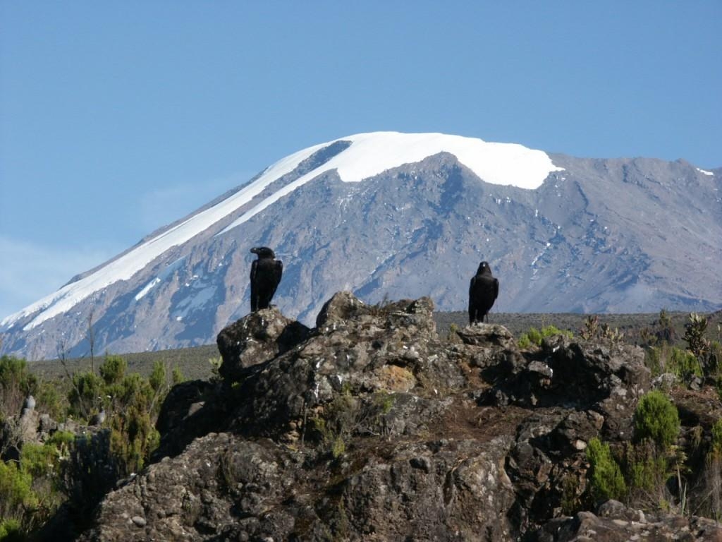 1030x770 The snows of Kilimanjaro, and why seeing is believing, Desktop