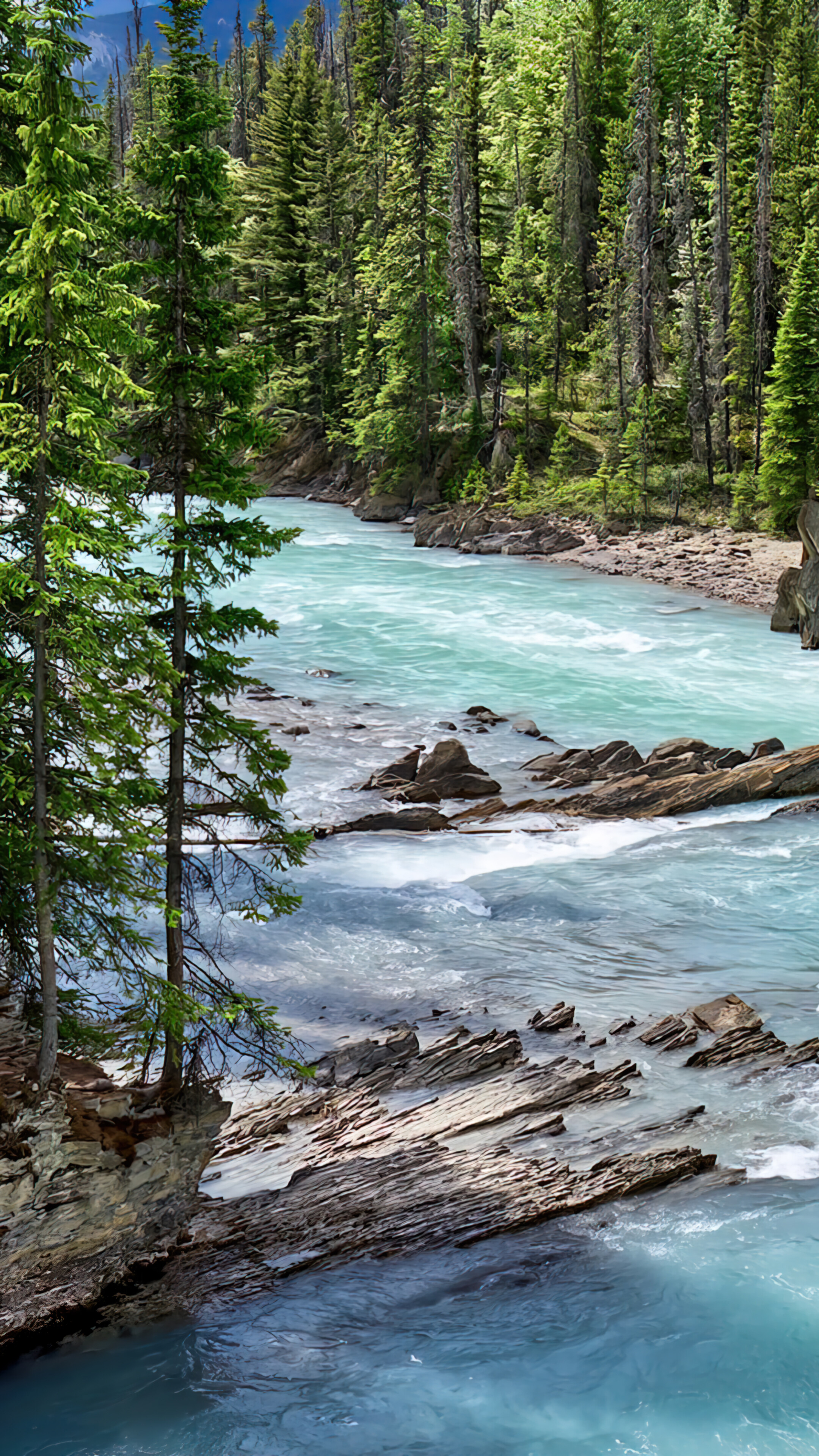 2160x3840 Free download River Nature Tree Scenery National Park 4K Phone iPhone Wallpaper [] for your Desktop, Mobile & Tablet. Explore Nature 4k HD Portrait WallpaperK Nature Wallpaper, 4K, Phone