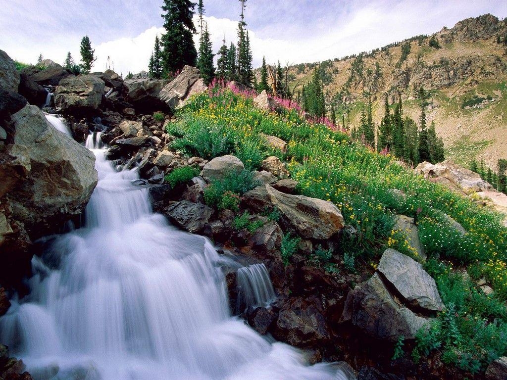 1030x770 Spring Nature Wallpaper, Desktop