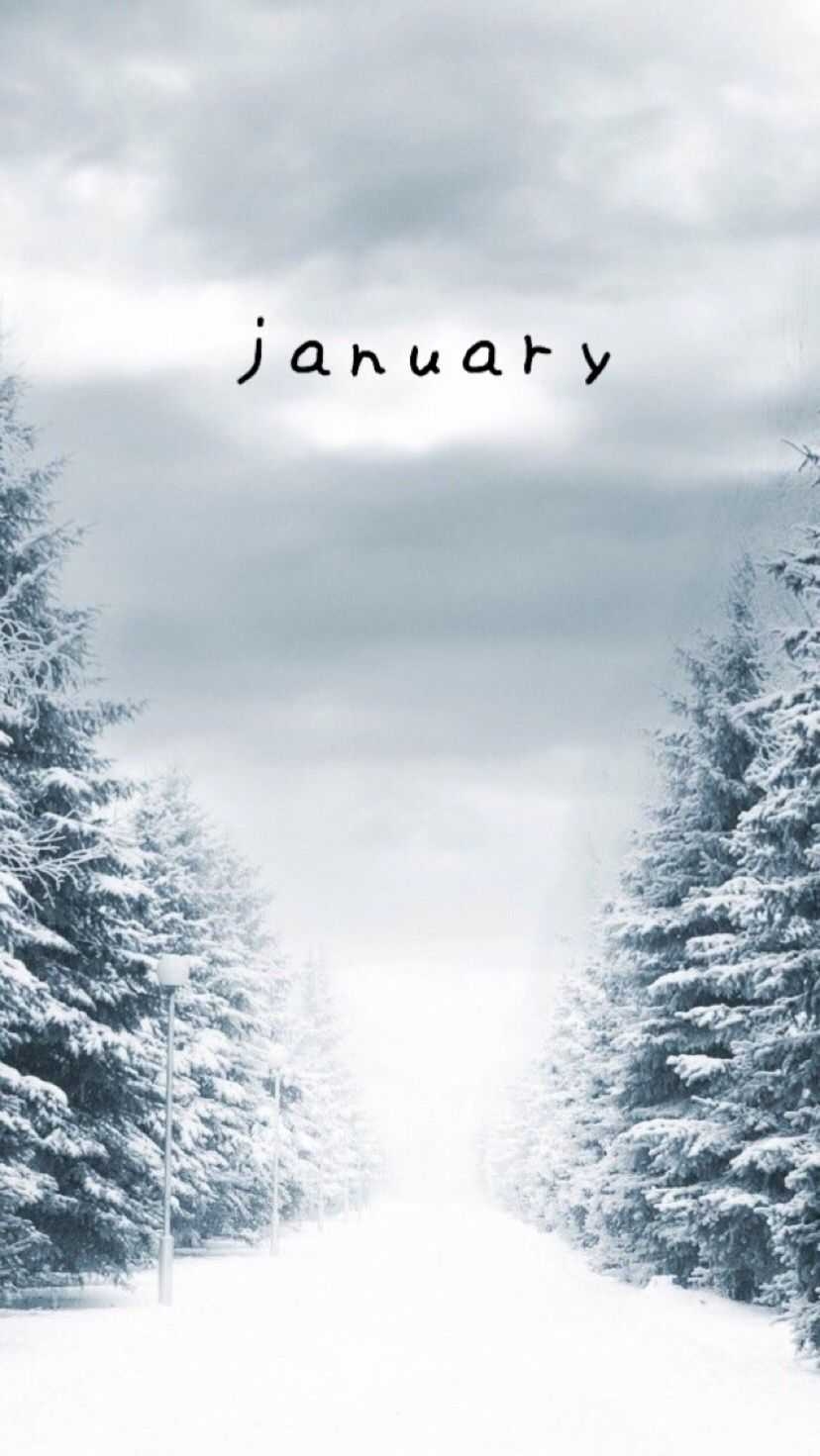 830x1480 January Wallpaper, Phone