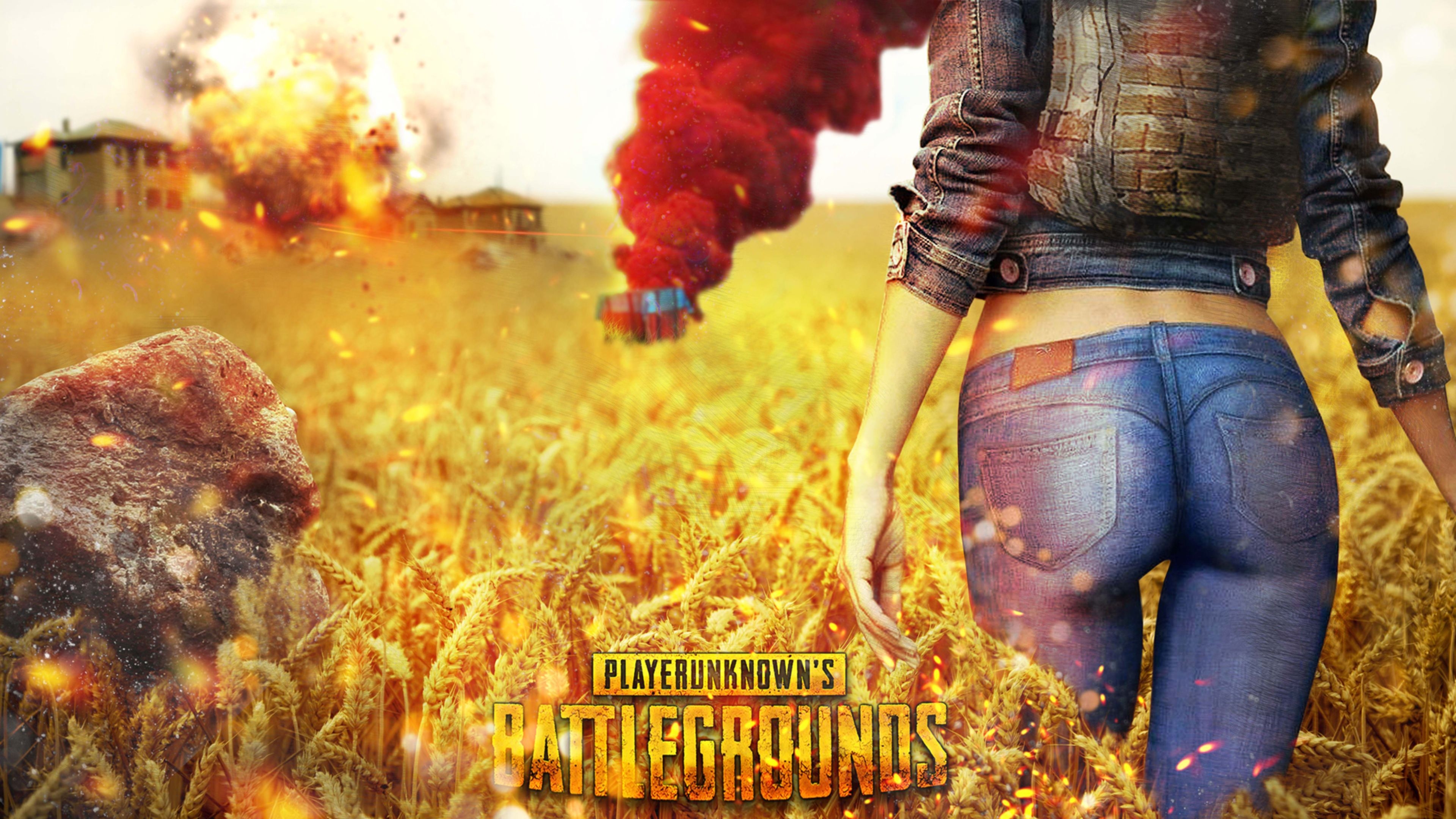 3840x2160 Playerunknowns Battlegrounds PUBG Cover 4K Wallpaper, Desktop