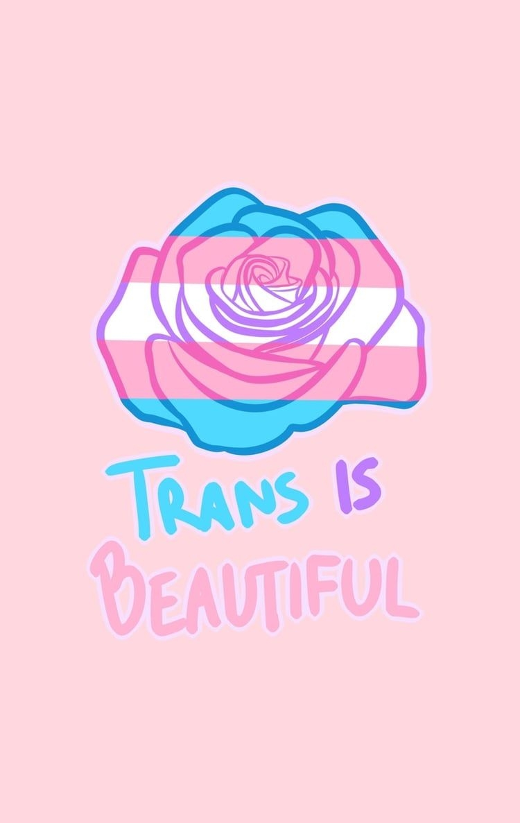 750x1190 Transgender Flag Wallpaper, Phone