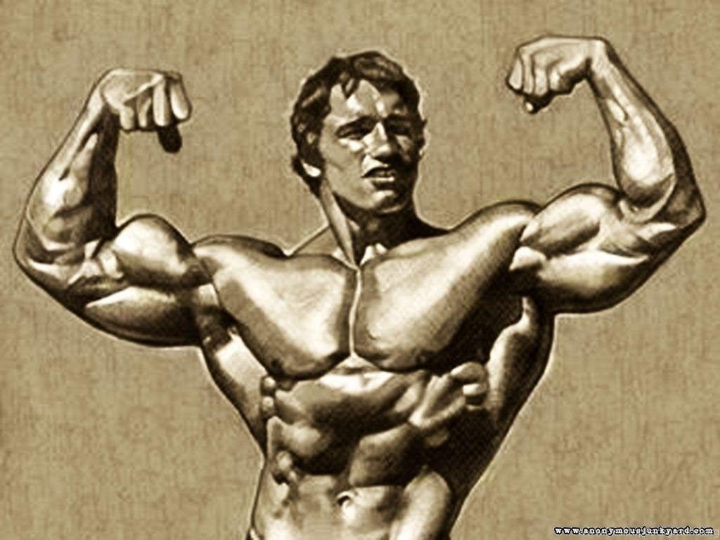 1030x770 Kane Blog Picz: Arnold Schwarzenegger Wallpaper 1280 Desktop Background, Desktop