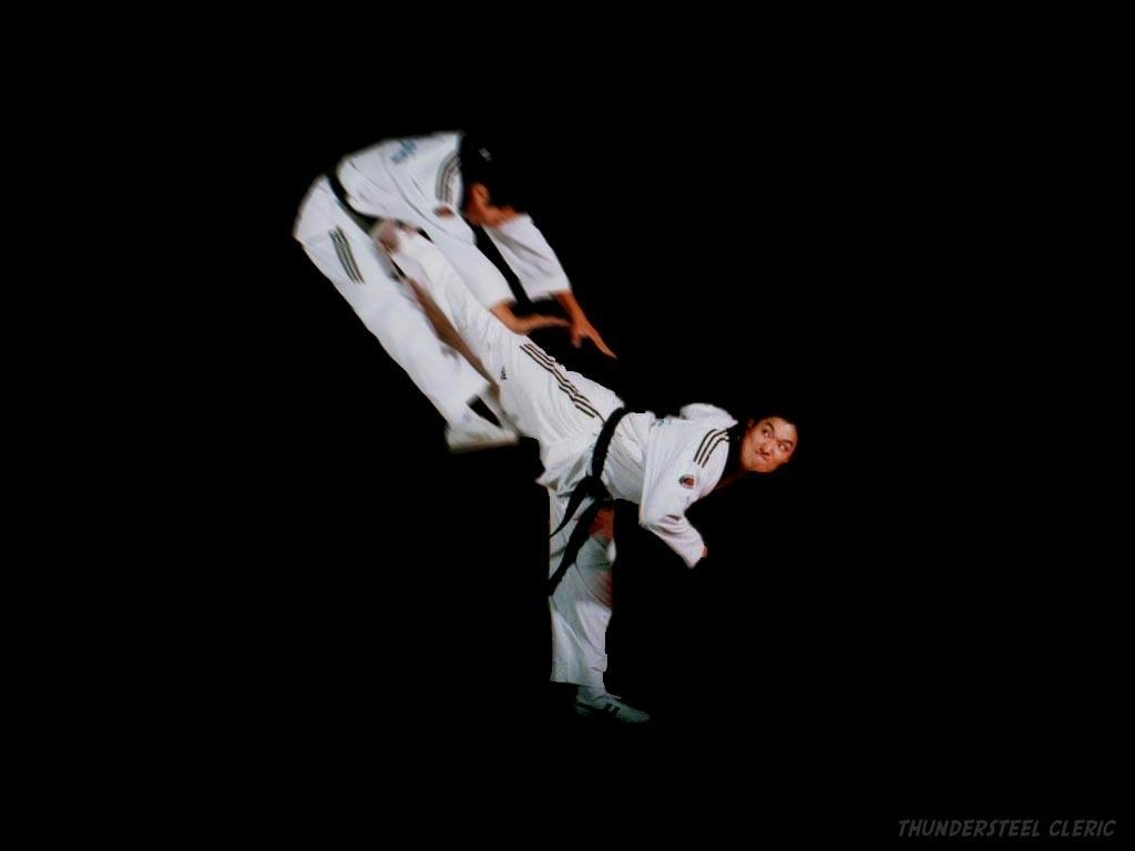 1030x770 taekwondo wallpap clickyooo, Desktop